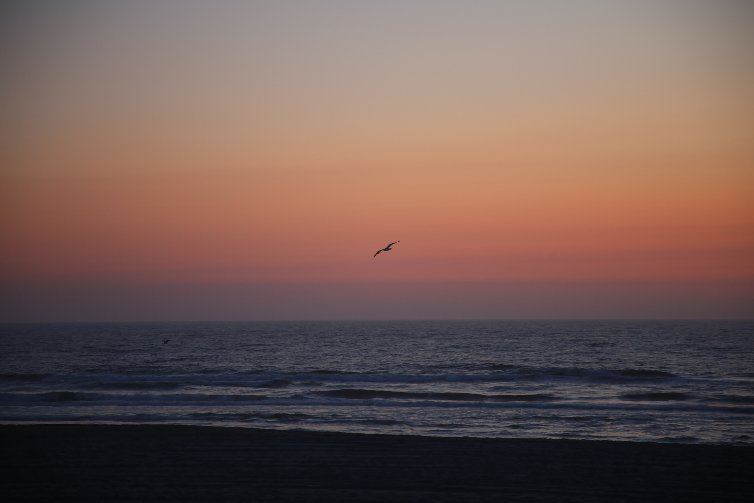 Esmoriz, Portugal. Andrey Filippov Photographer