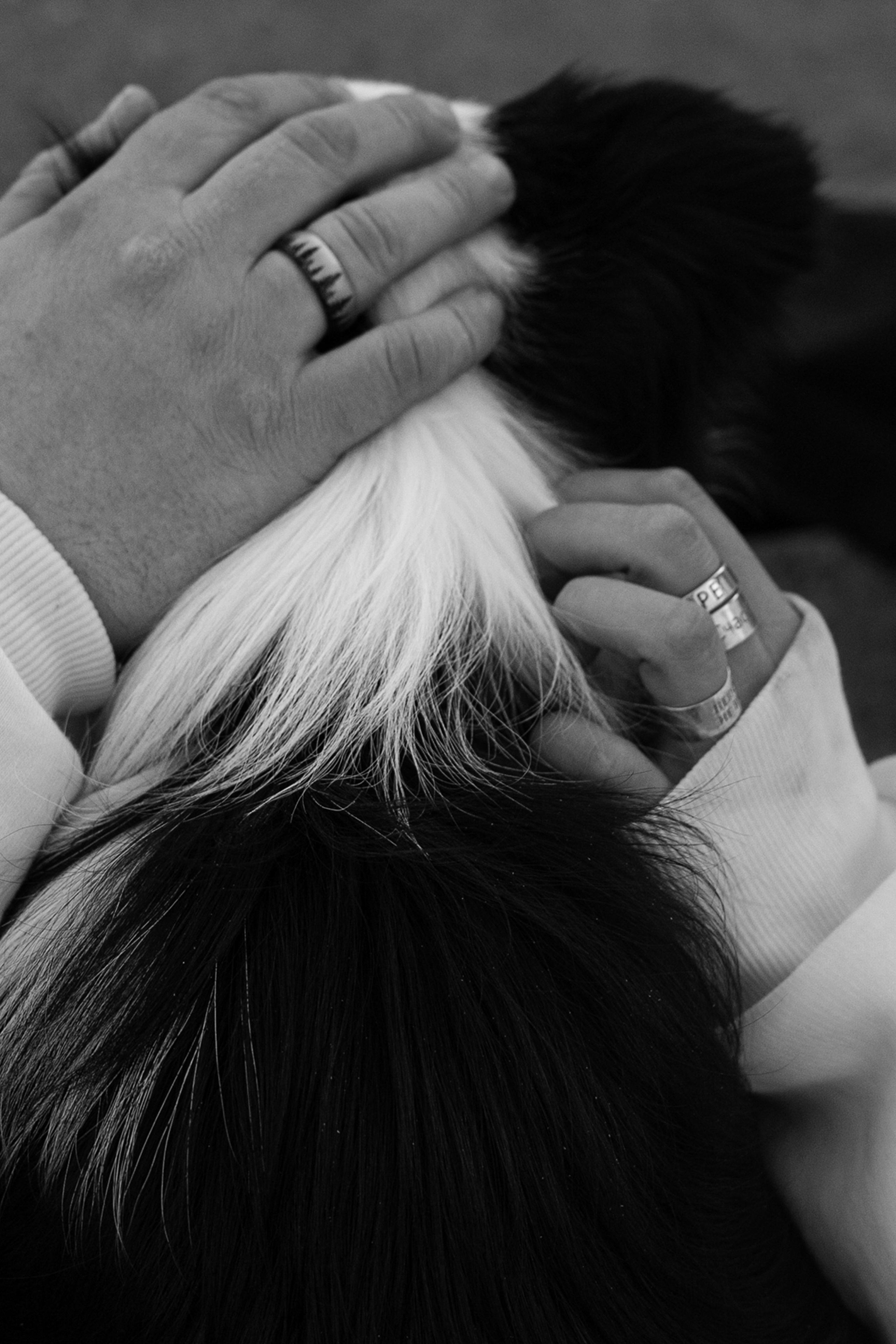 Таня, Дима и Чейси. Фотограф анималист в Москве и Санкт-Петербурге Свиридова Анна