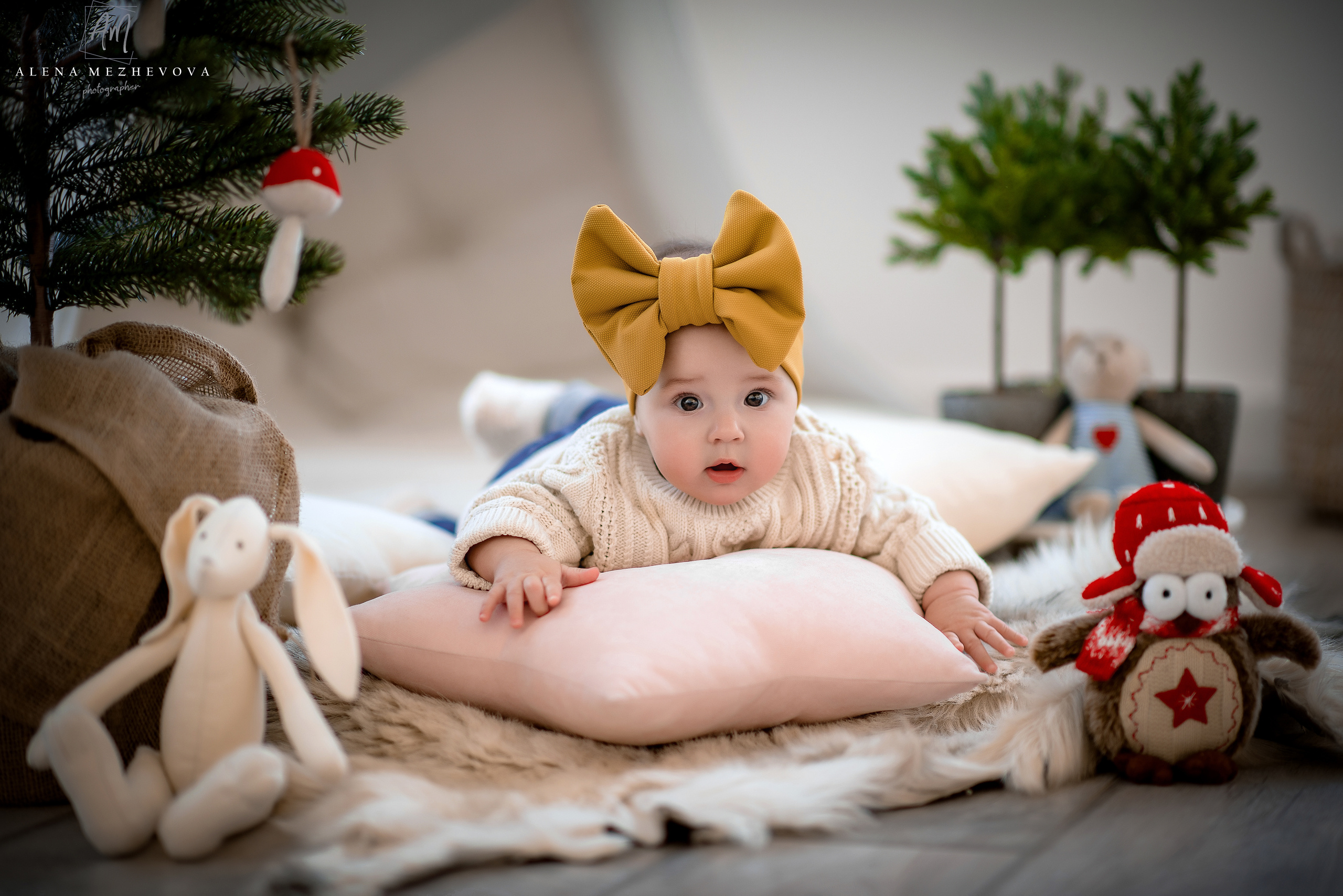 Новогоднее настроение. Свадебный и семейный фотограф и видеограф, Крым, Москва, Санкт -Петербург
