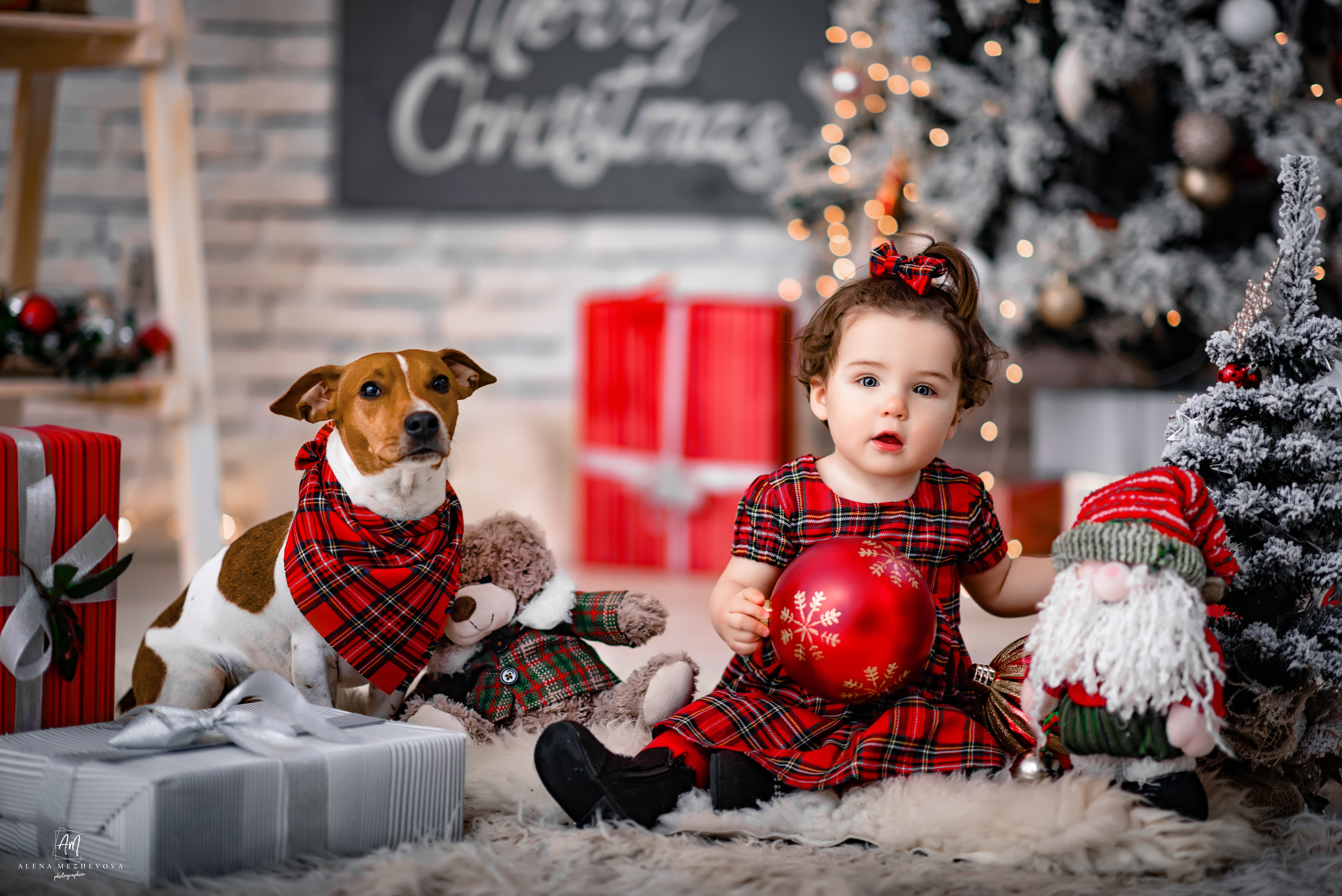 Новогоднее настроение. Свадебный и семейный фотограф и видеограф, Крым, Москва, Санкт -Петербург