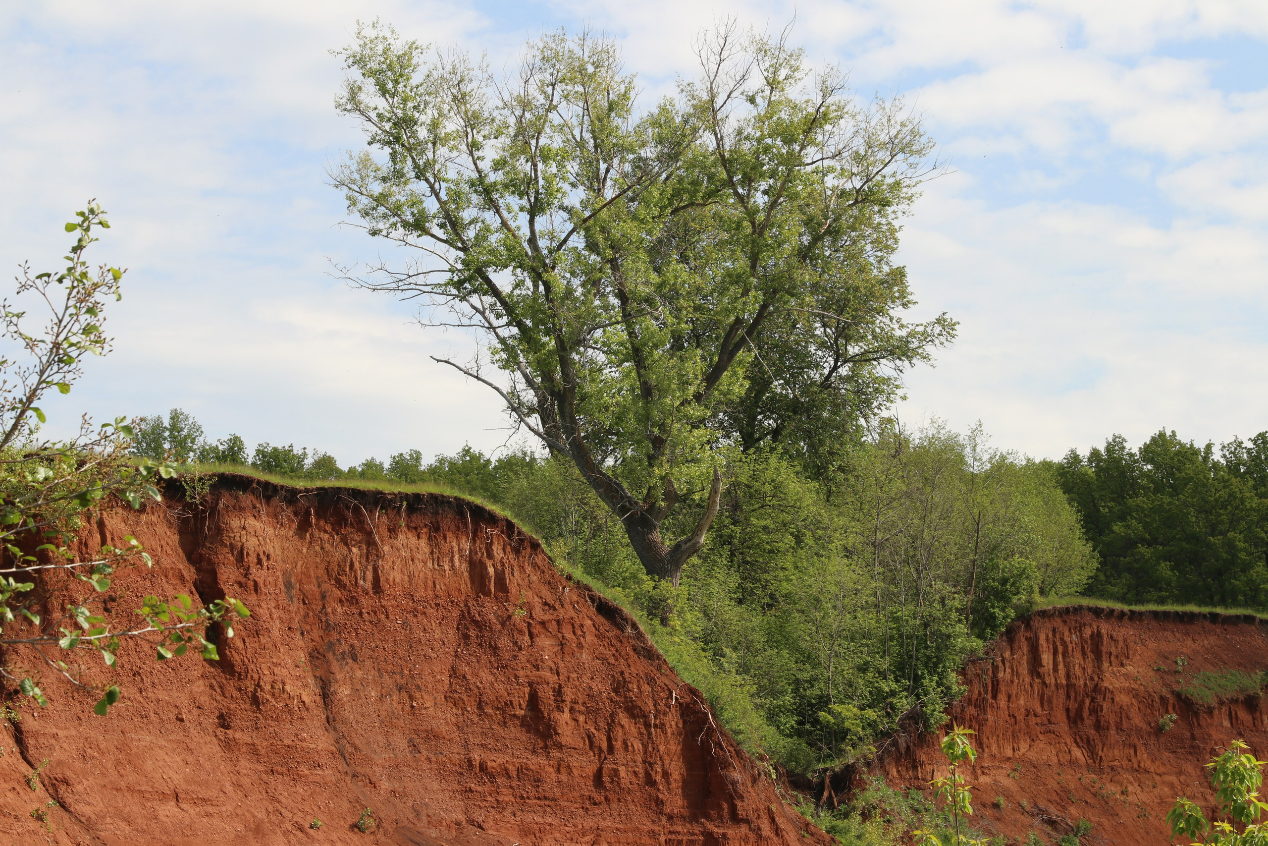 Велопоход Уфа — Мелеуз. Май 2024. Путешественник-фотограф из Санкт-Петербурга Татьяна Свистулина