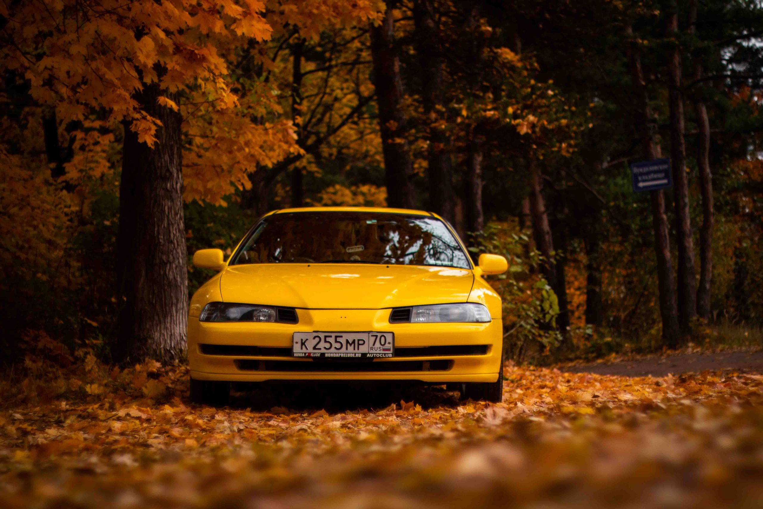 Осеннее настроение. Александр Попов