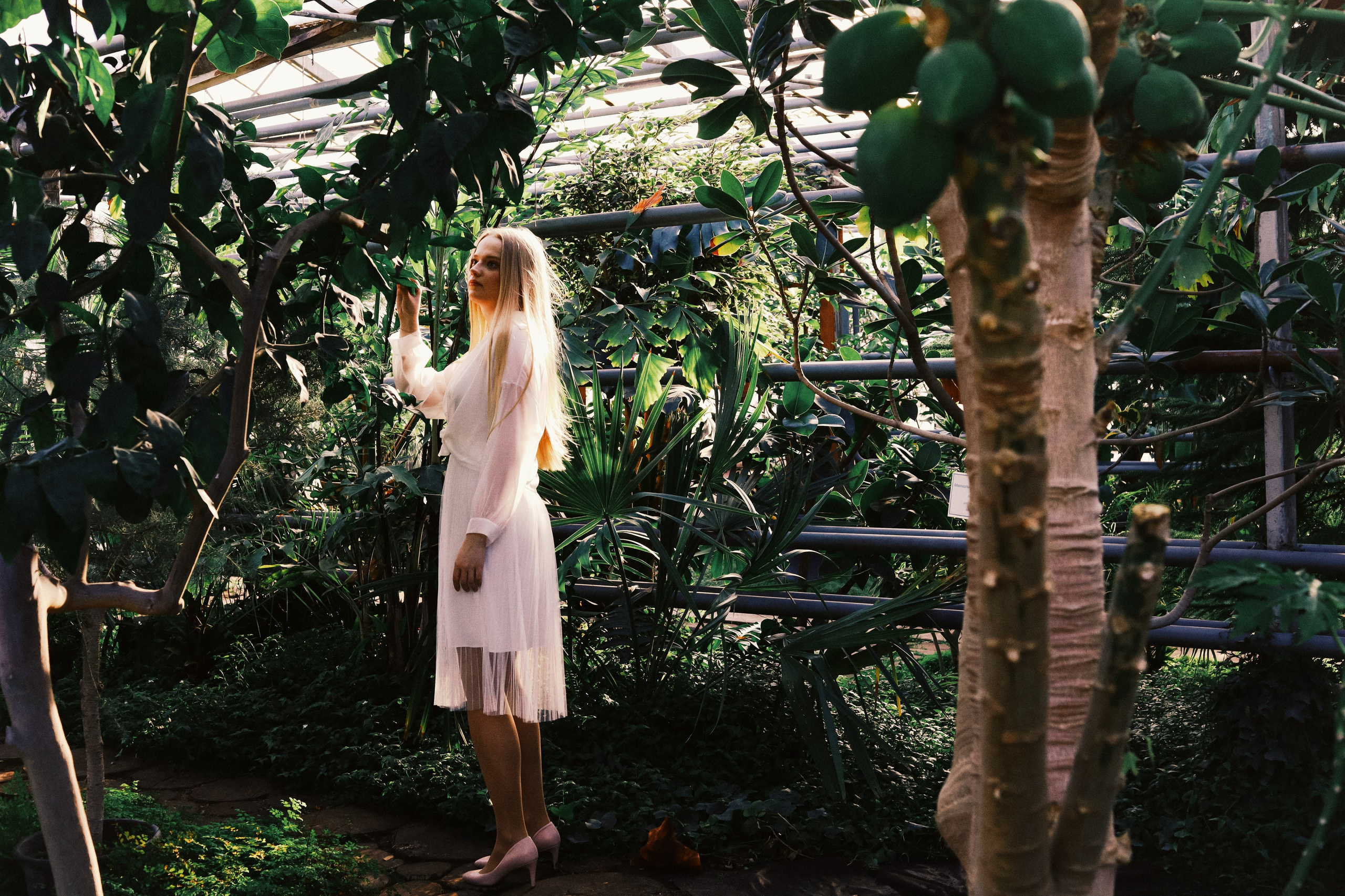 Отзывы. Фотограф Елизавета Колесникова