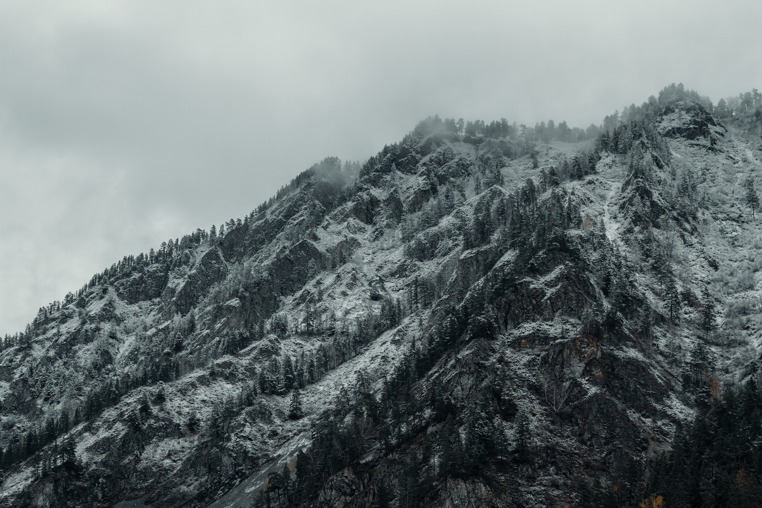 Фотографии Горного Алтая. Фотограф в Новокузнецке