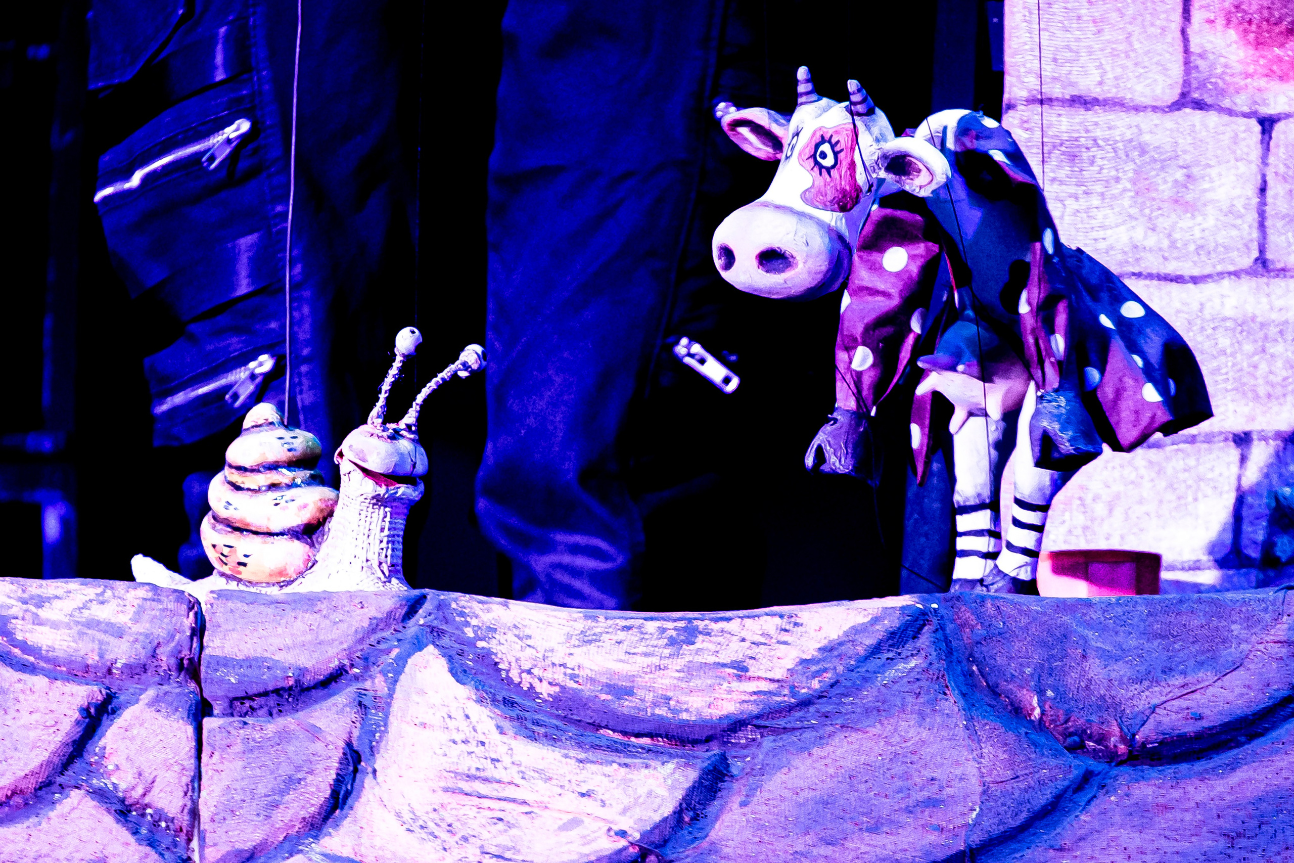 Человек с луны — спектакль кукольного театр Саквояж. Фотограф в Сочи Юрий Шептаев