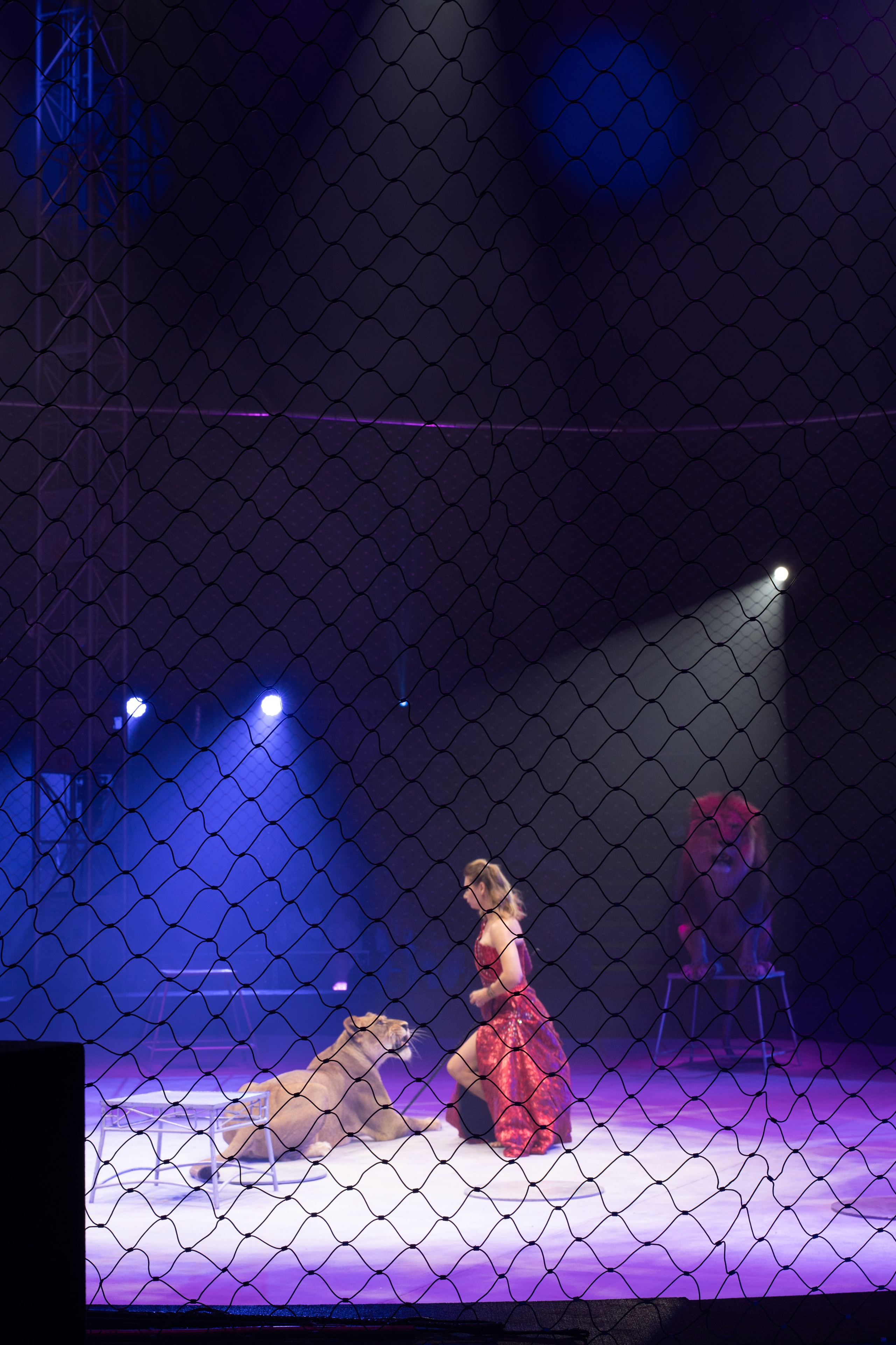 Circus. Фотограф в Москве Шалышко Ангелина