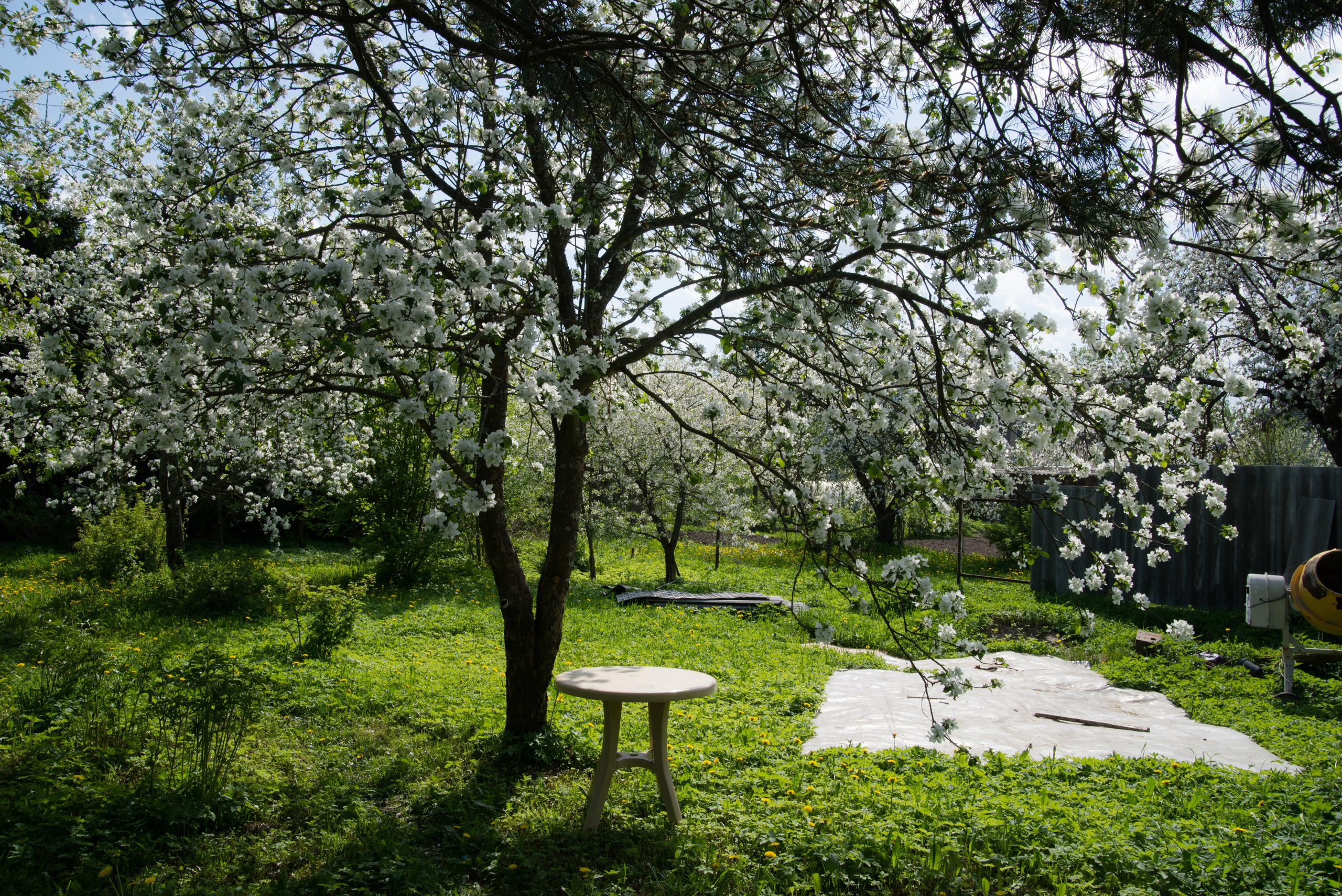 Singles 2. Alyona Kochetkova | Photographer and photography educator