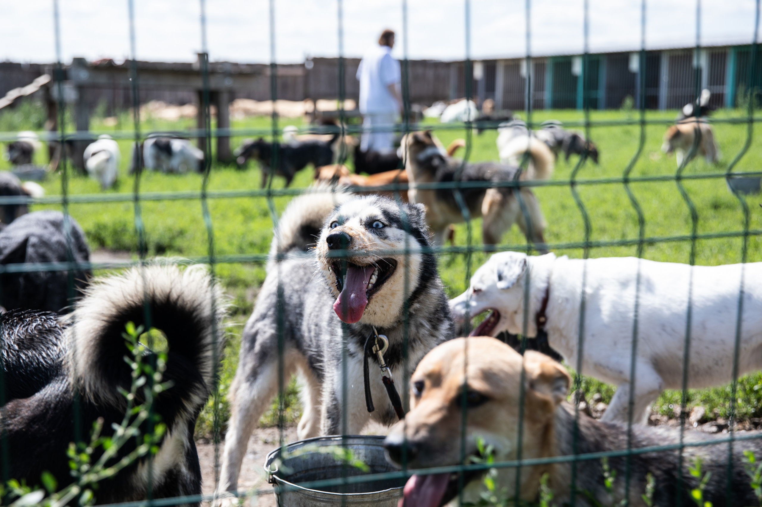 Приют — Наш дом. Репортажный и свадебный фотограф в Челябинске Елисеев Павел