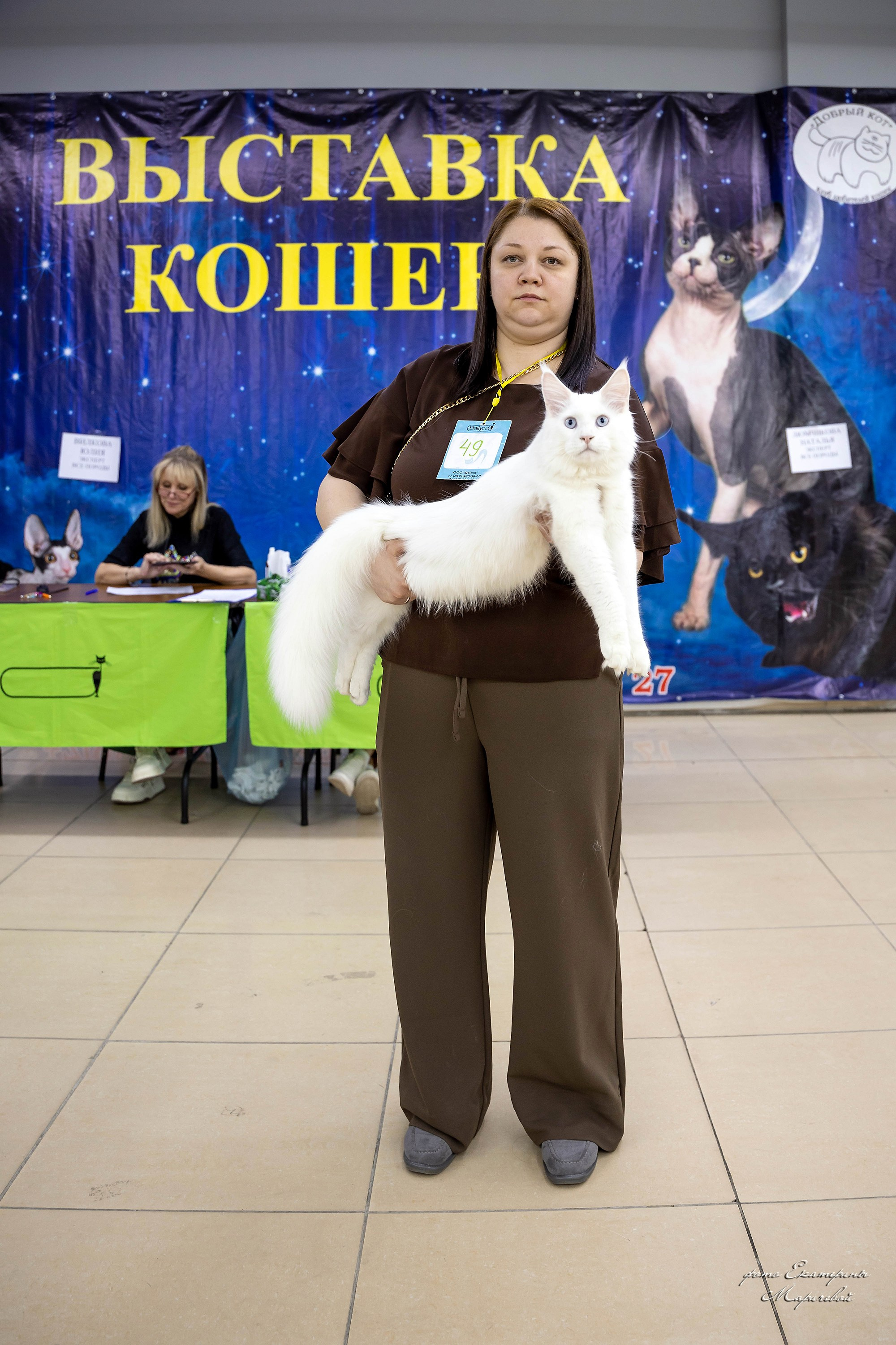 11–12 апреля — Интершоу — «Звездная Галактика Доброго Кота». Работаю со стендом. Фотограф-анималист в Омске Екатерина Маричева