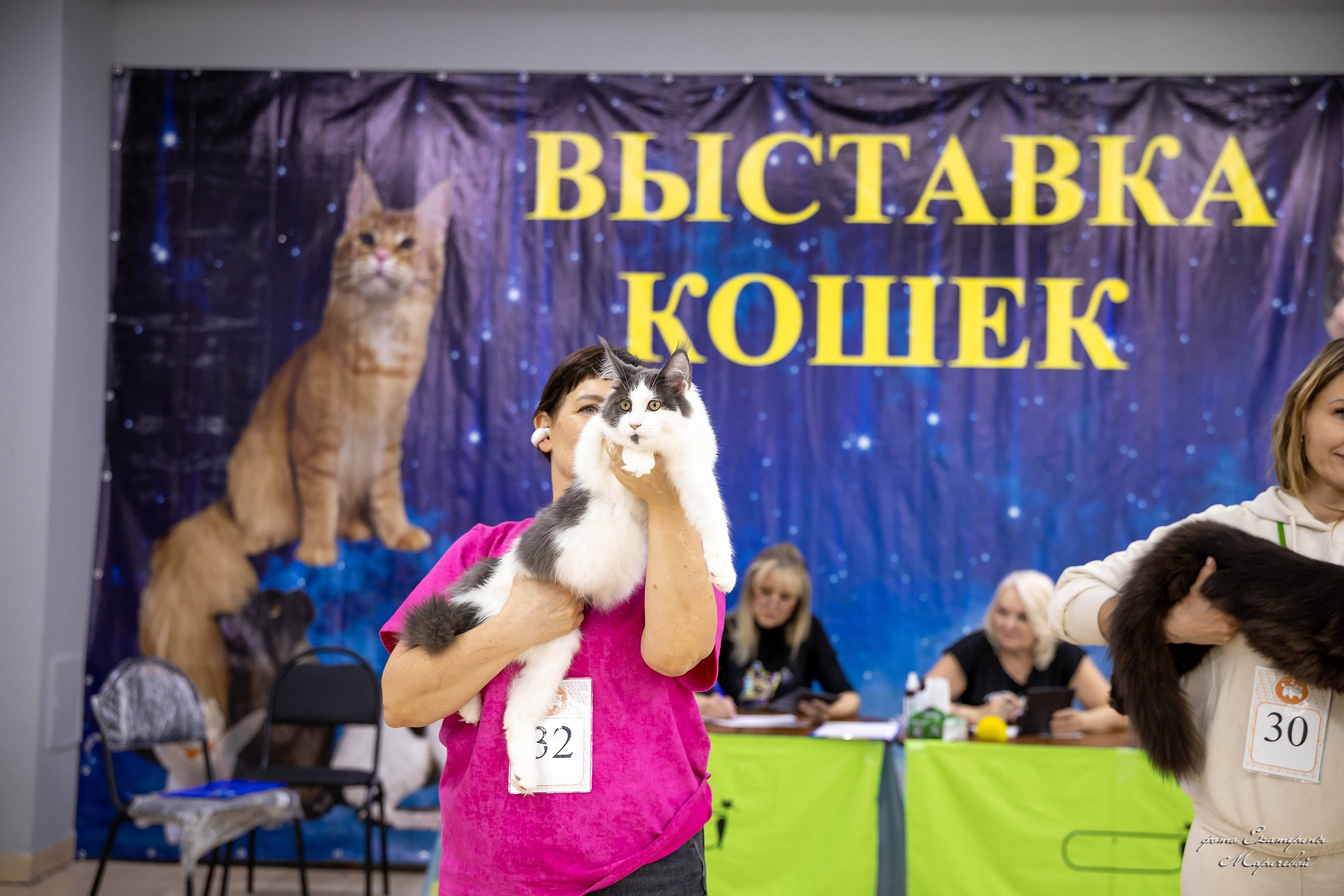 11–12 апреля — Интершоу — «Звездная Галактика Доброго Кота». Работаю со стендом. Фотограф-анималист в Омске Екатерина Маричева