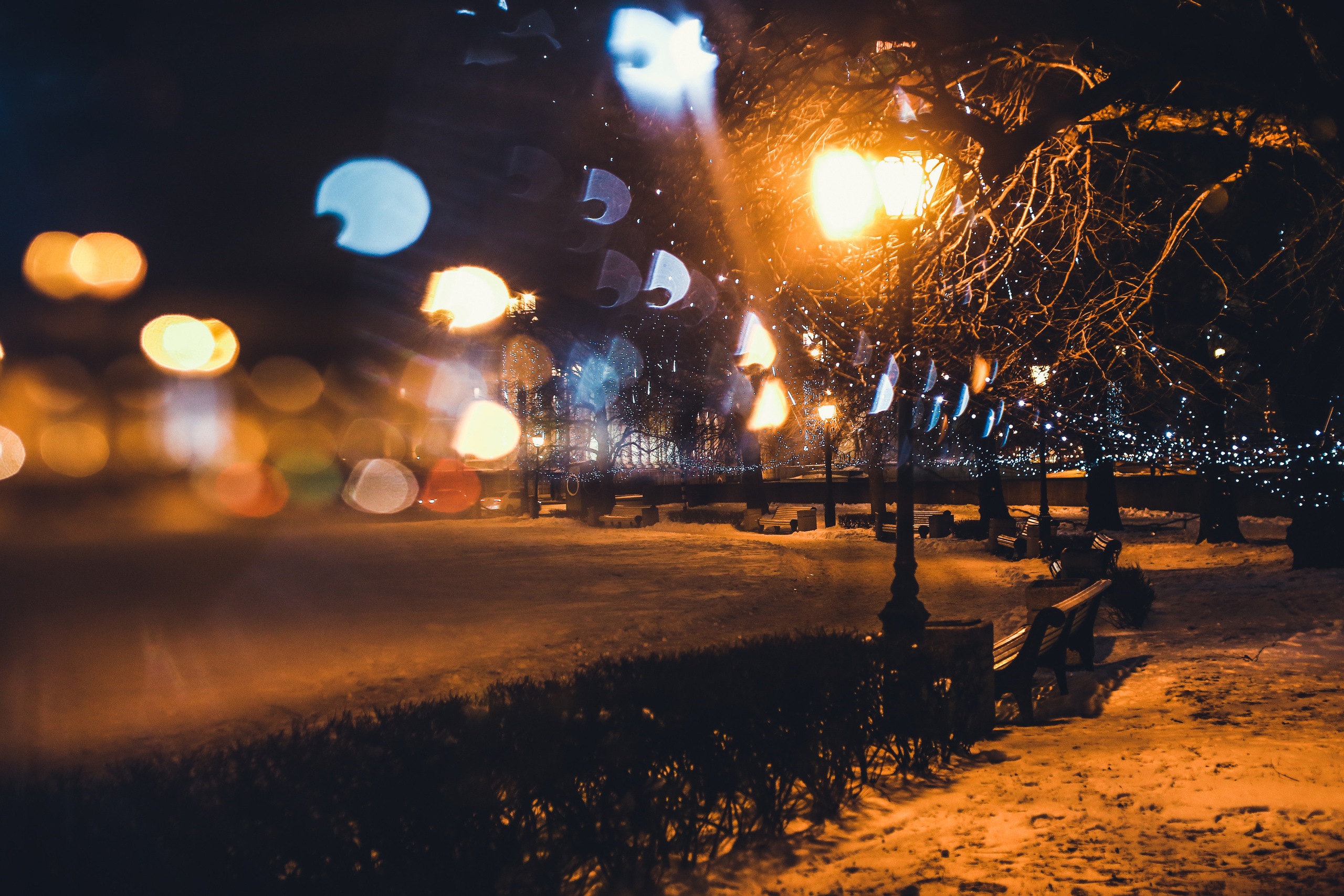 Рождественский Питер. Фотограф Юля Постнова