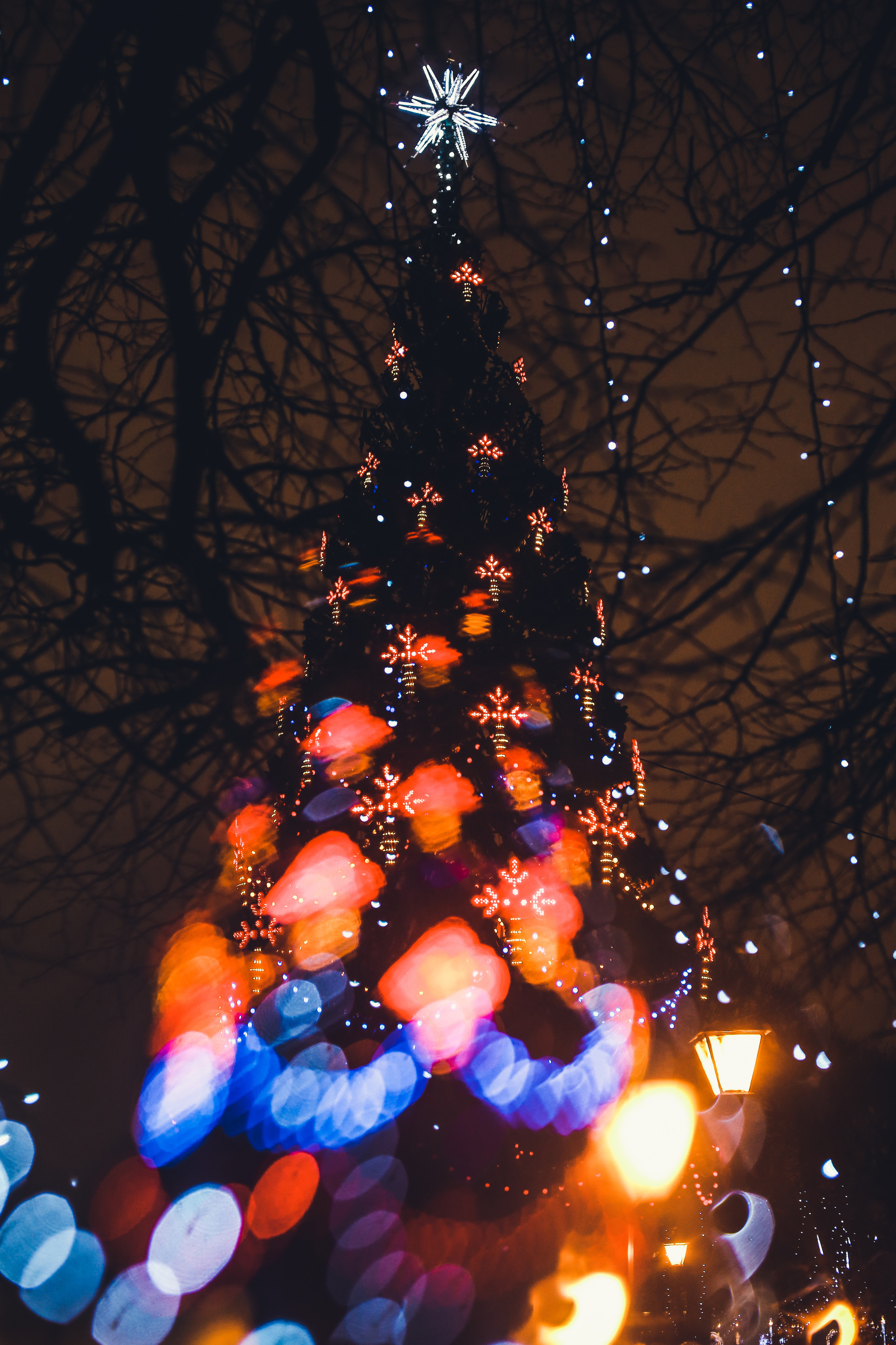 Рождественский Питер. Фотограф Юля Постнова