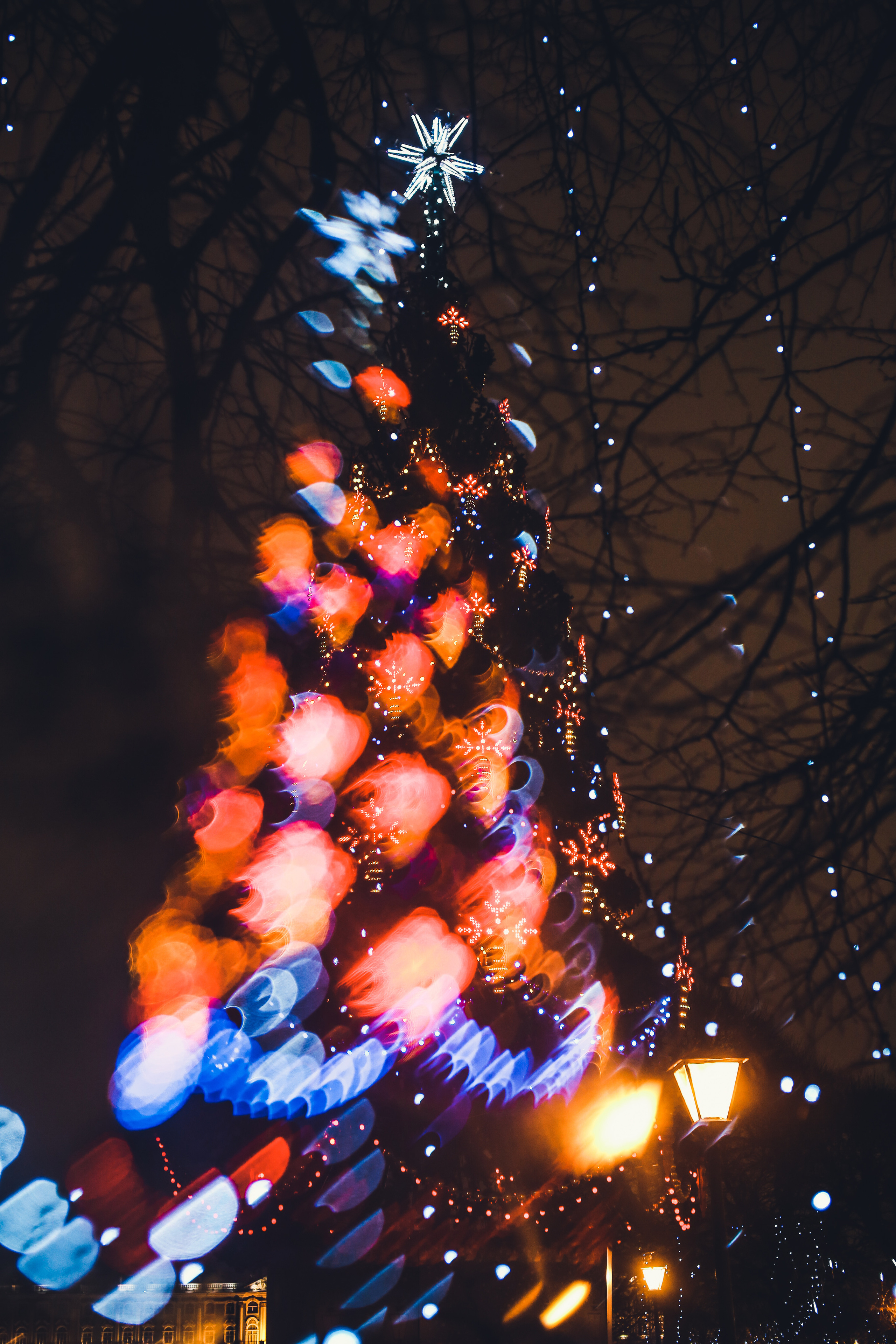 Рождественский Питер. Фотограф Юля Постнова