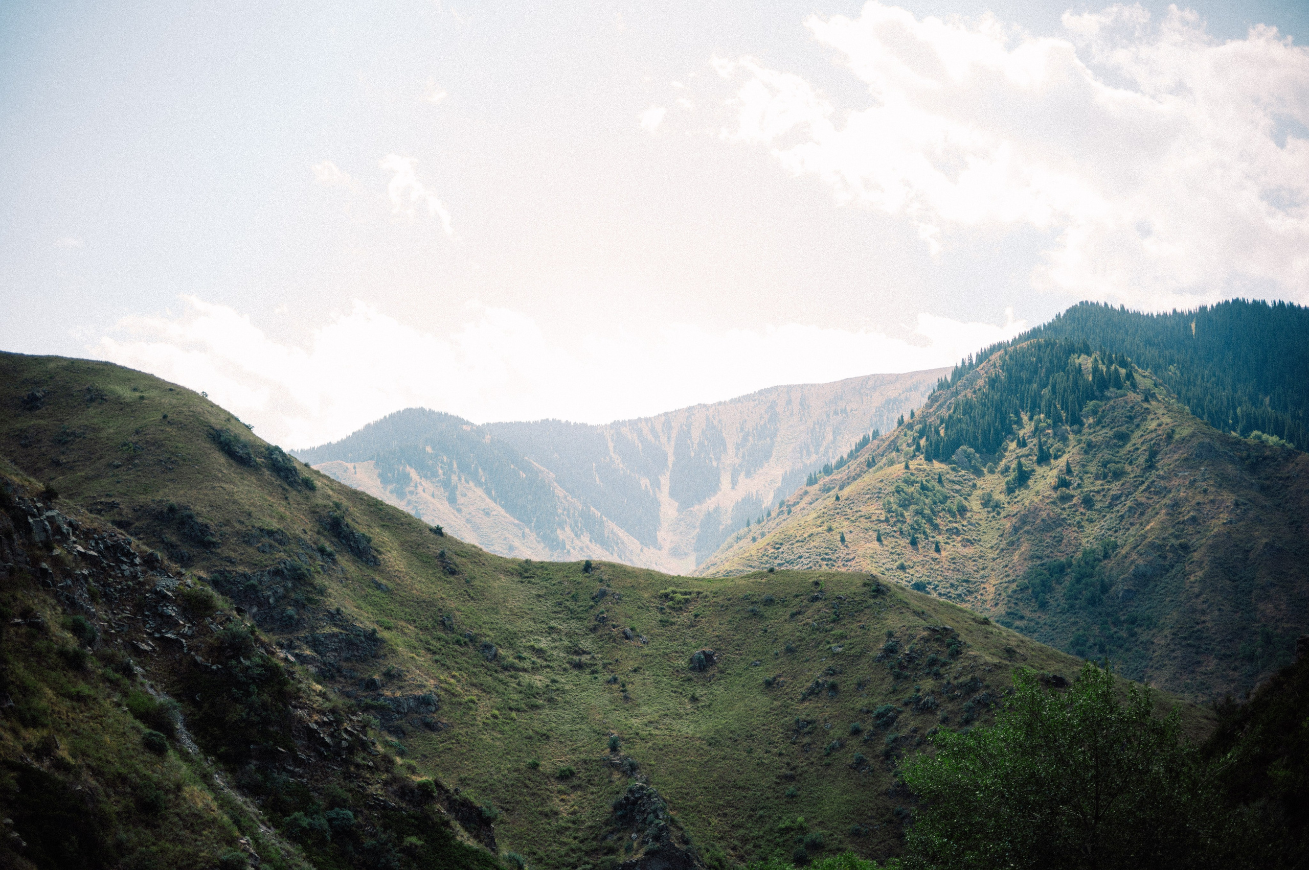 Плато Ассы: июль 2025. Фотограф в Алматы — Дарья Фёдорова