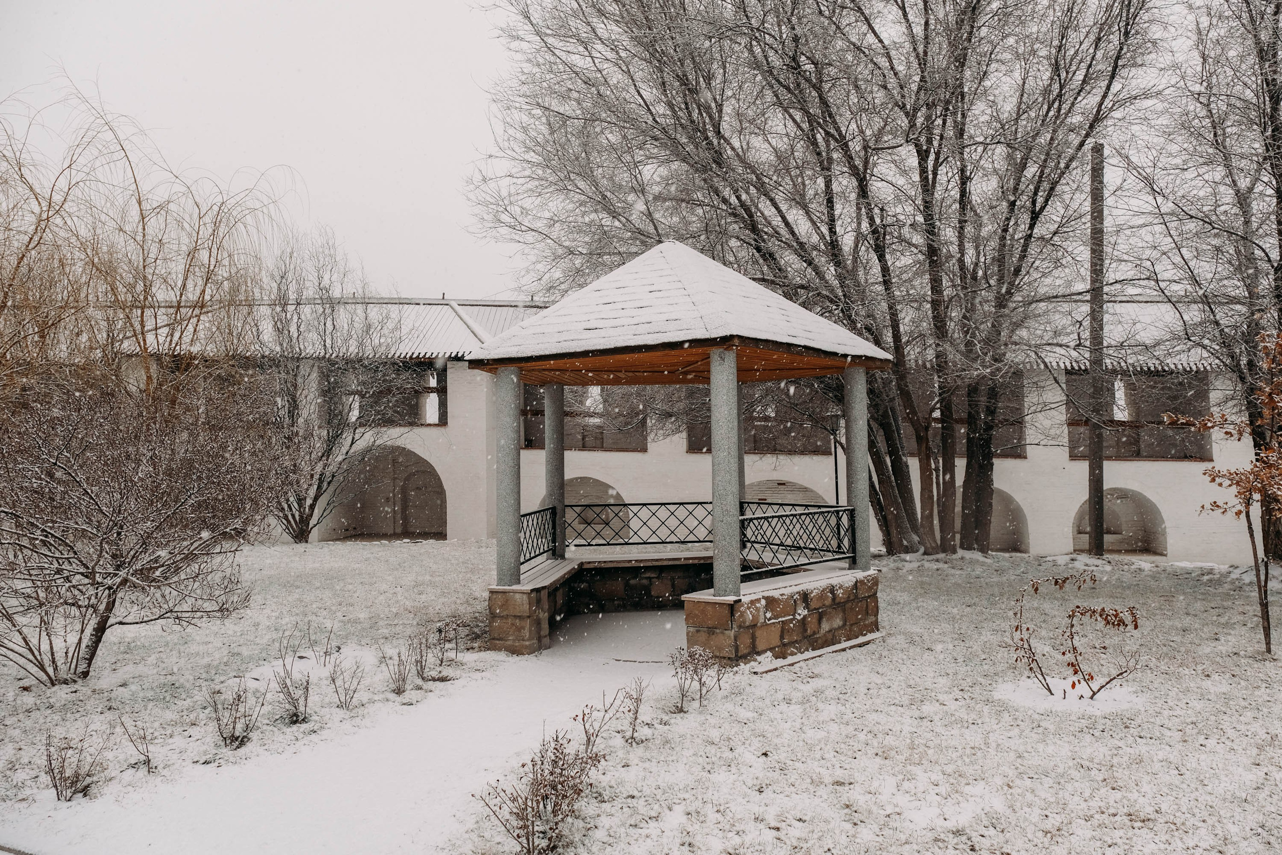 Снегопад. Фотограф Анатолий Деникин