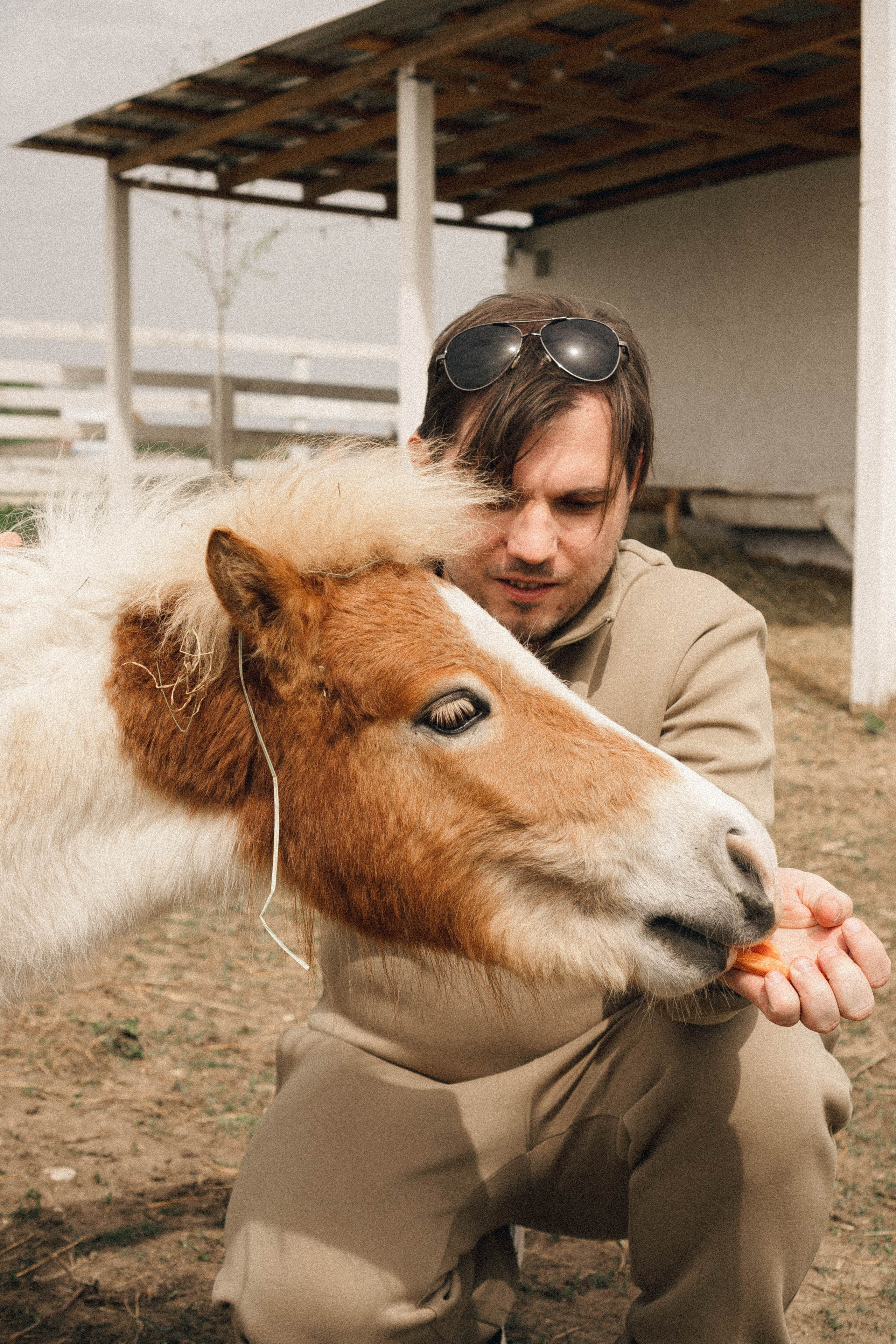 Ферма Альпак. Профессиональный фотограф, Санкт-Петербург — Виктория Богомолова