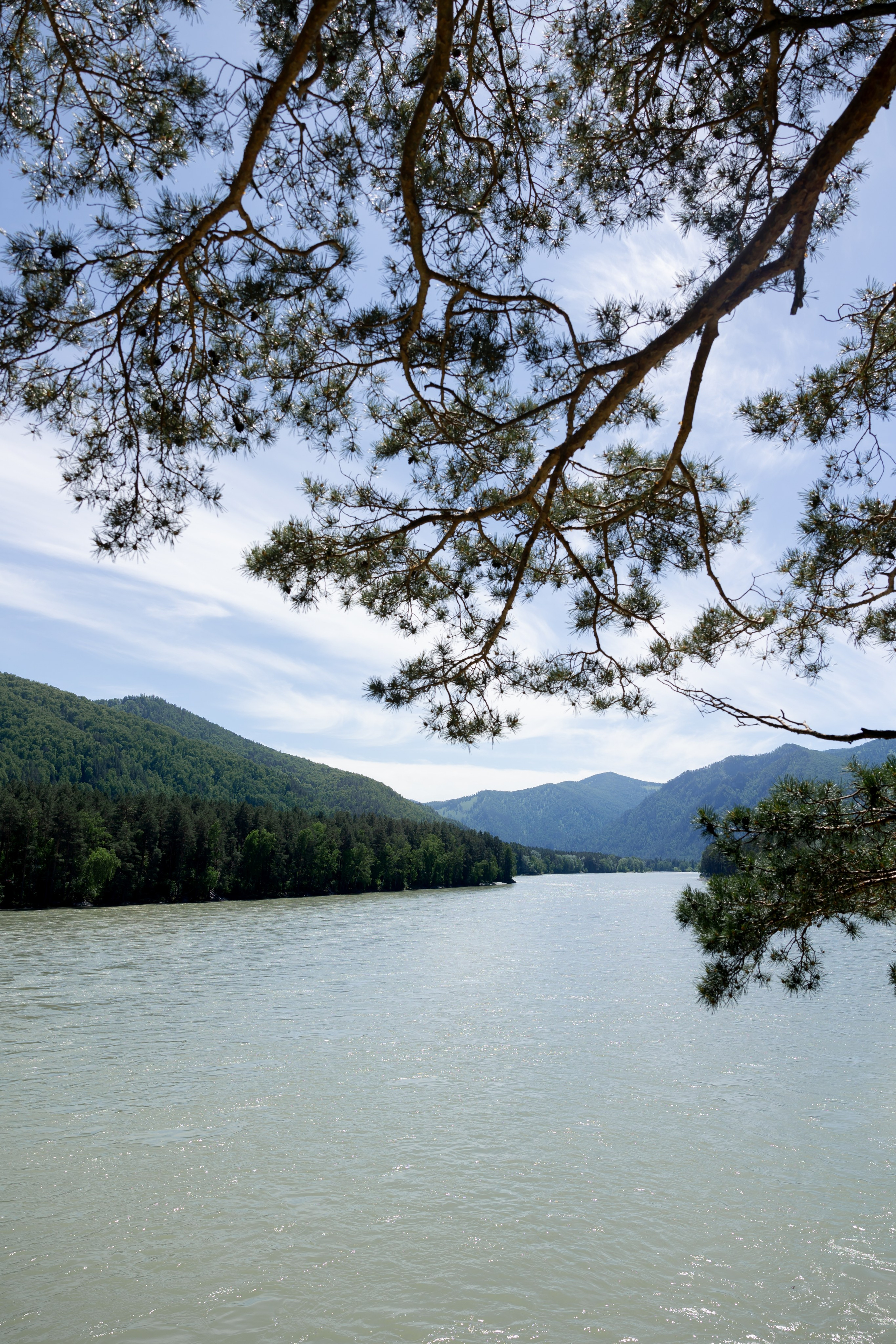 Алтай Бизнес-клуб «Новые Горизонты». Фотограф Москва Людмила Белова