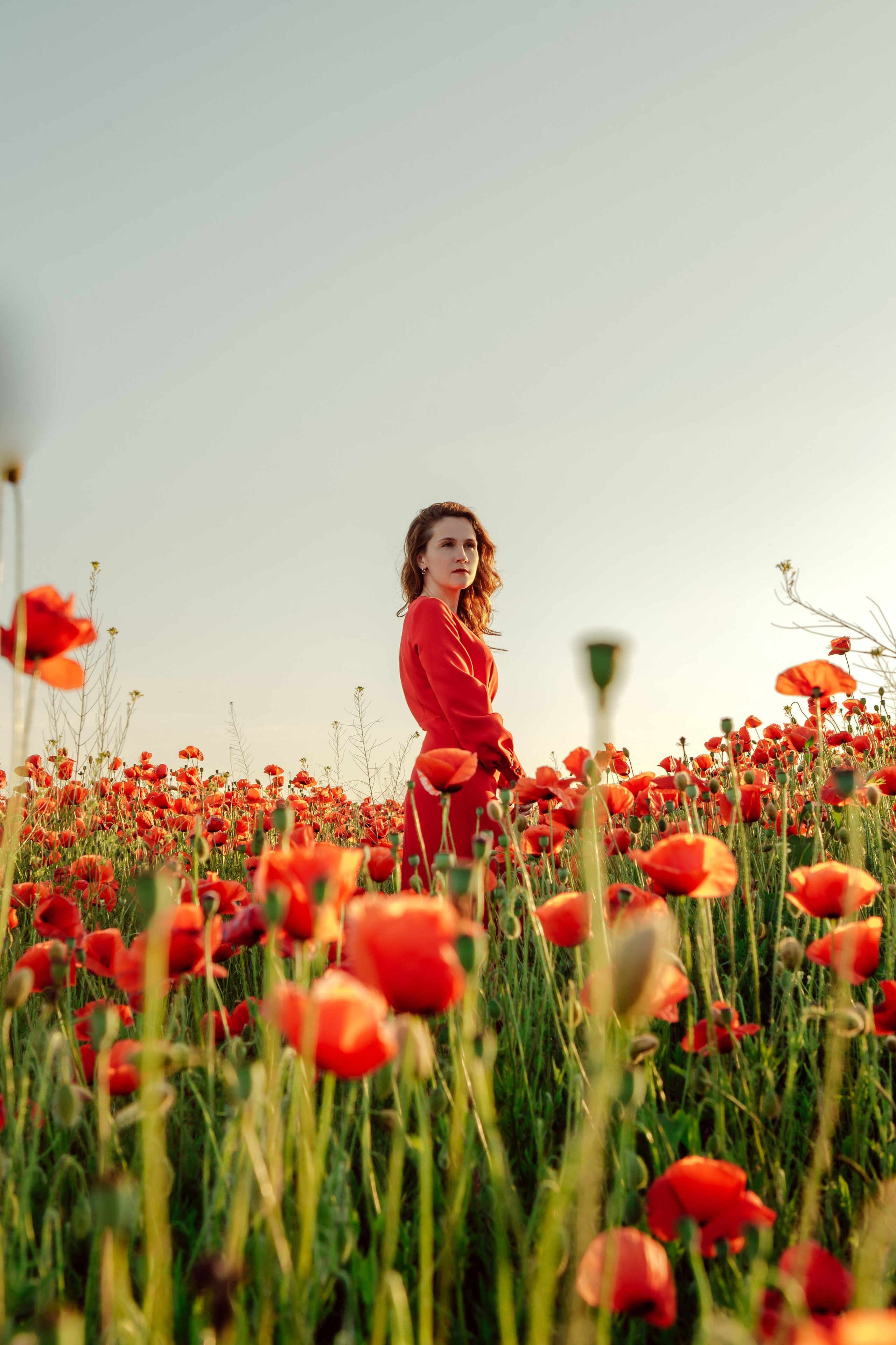 Маки. Фотограф Новороссийск