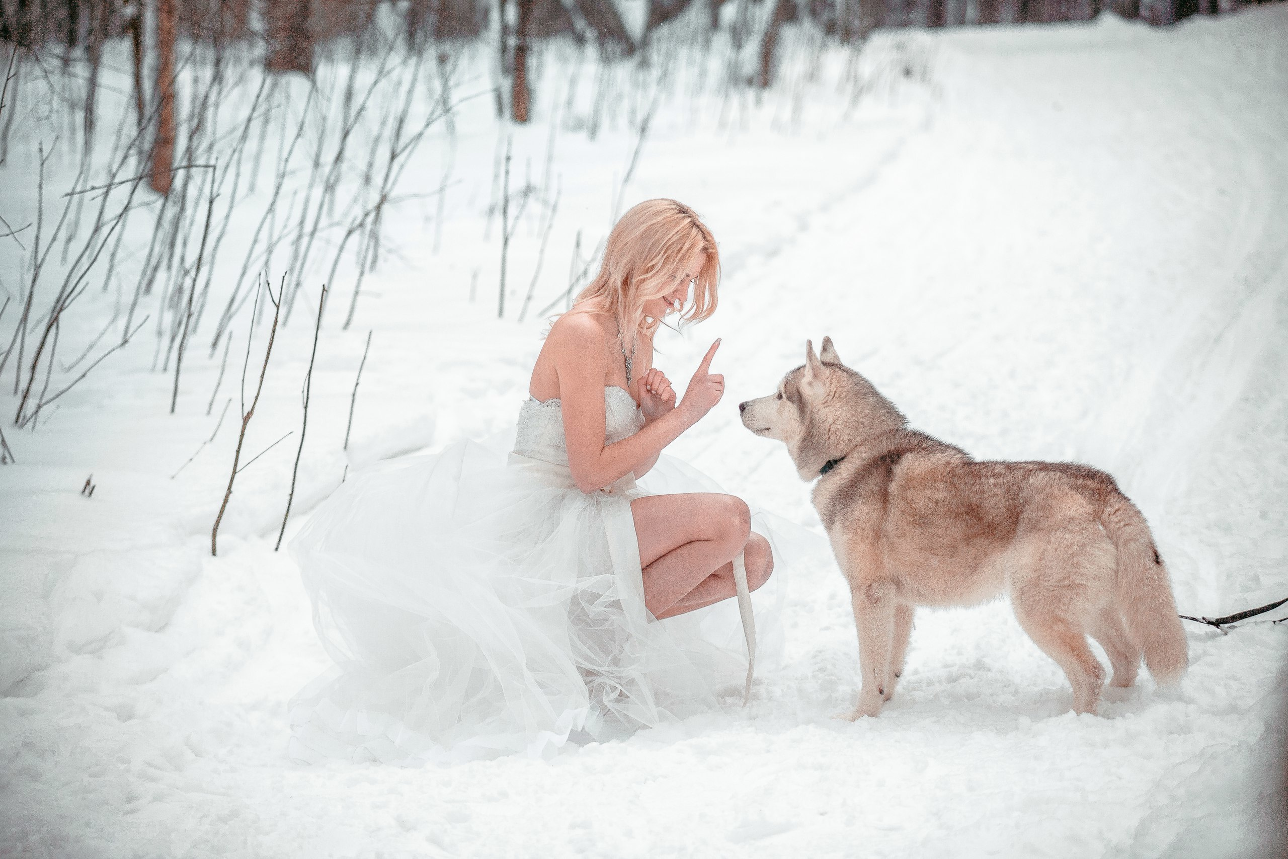 Зимняя серия. Свадебный и семейный фотограф Вадим Великоиваненко