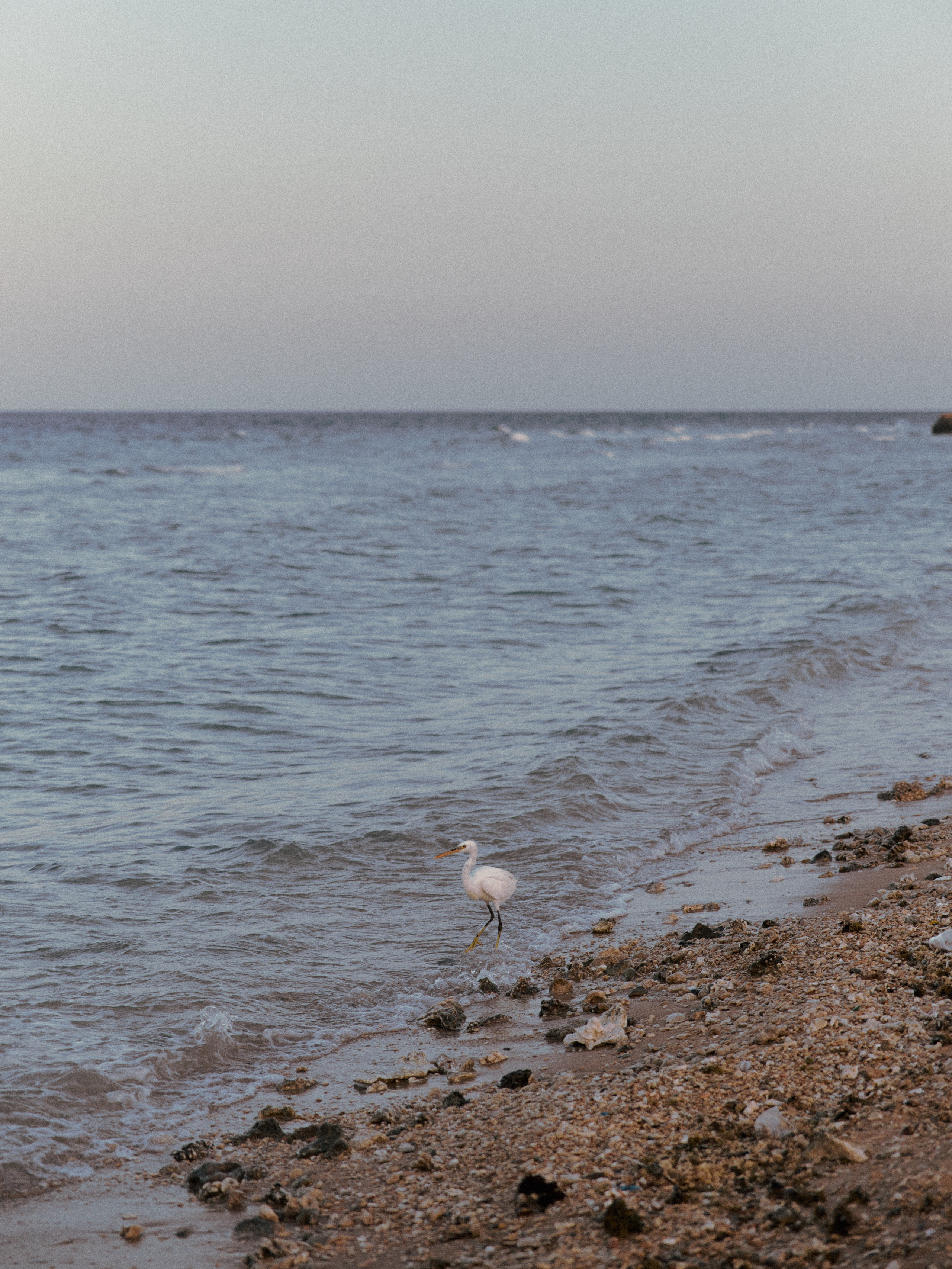 Диптих. Jorgis — фотограф в Хургаде / обучение фотографии