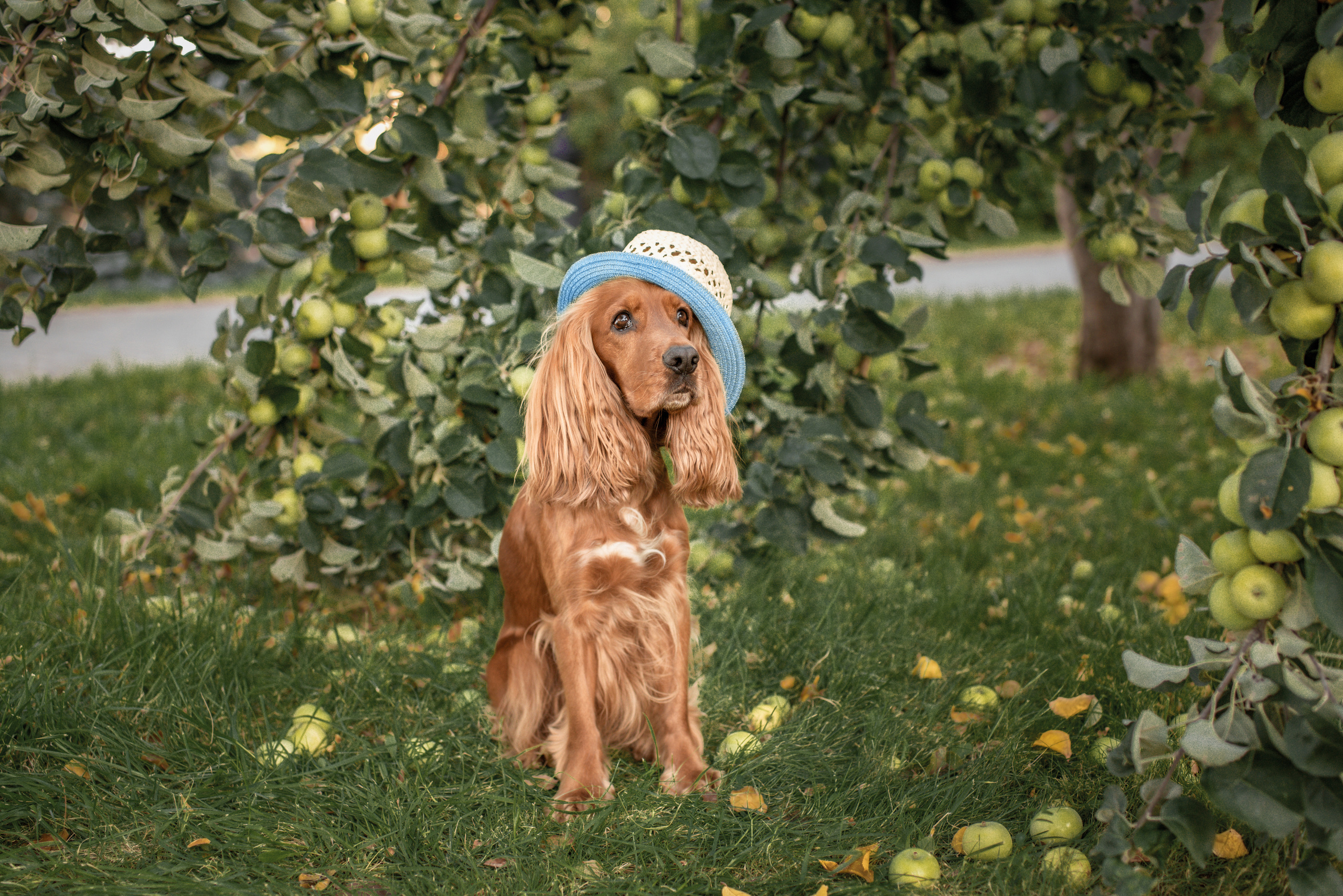 Катя и Марвел. Церковный фотограф на Таинство Крещения и Венчания в Оренбурге и Оренбургской области Екатерина Белкина