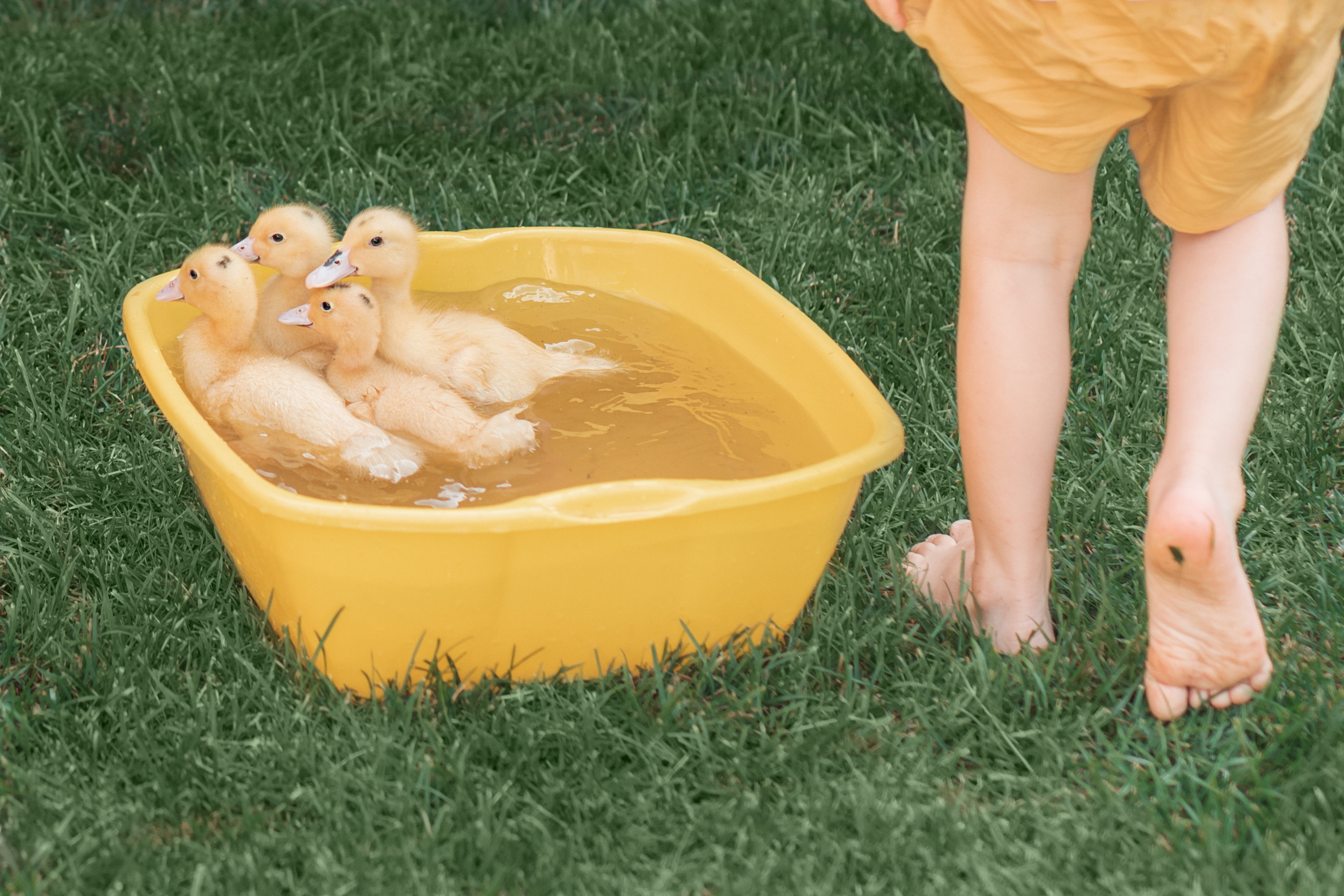 Федя и цыпы. Церковный фотограф на Таинство Крещения и Венчания в Оренбурге и Оренбургской области Екатерина Белкина