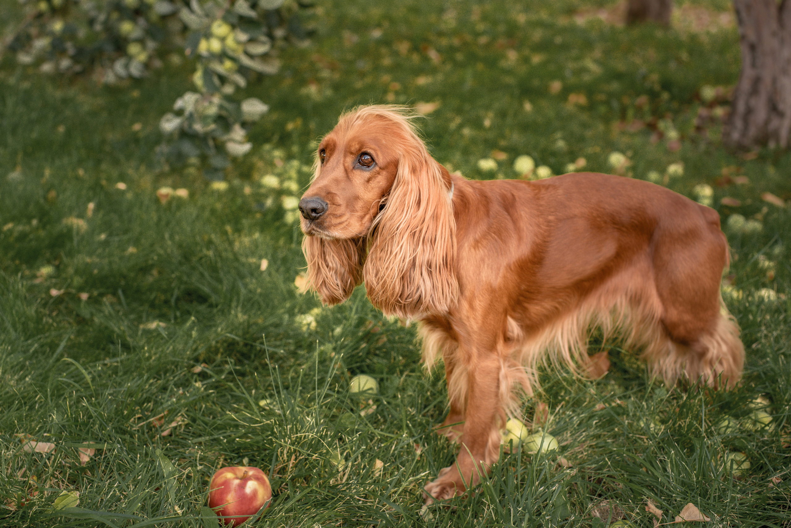 Катя и Марвел. Церковный фотограф на Таинство Крещения и Венчания в Оренбурге и Оренбургской области Екатерина Белкина