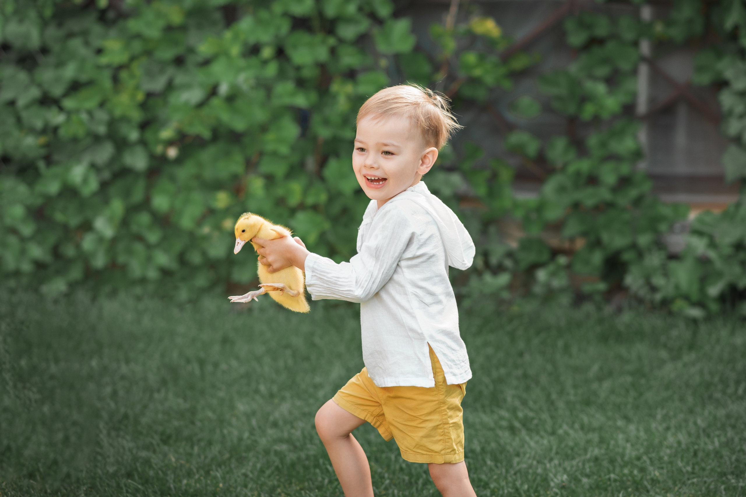 Федя и цыпы. Церковный фотограф на Таинство Крещения и Венчания в Оренбурге и Оренбургской области Екатерина Белкина