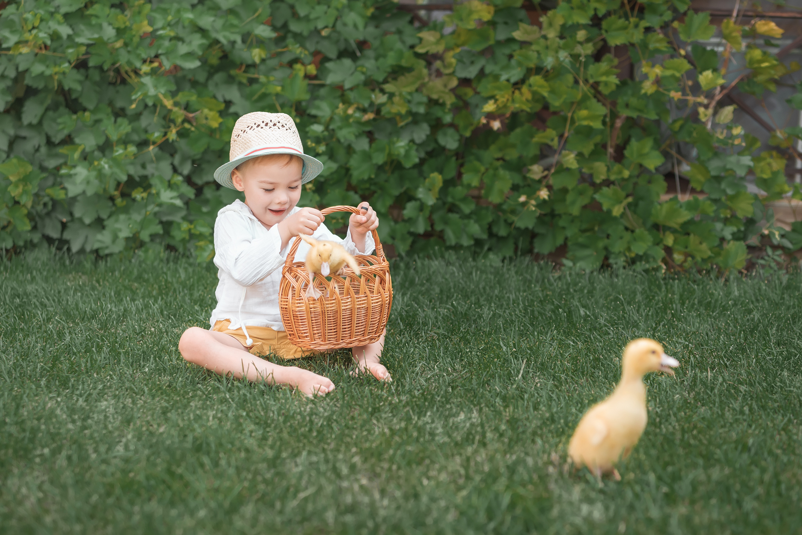 Федя и цыпы. Церковный фотограф на Таинство Крещения и Венчания в Оренбурге и Оренбургской области Екатерина Белкина