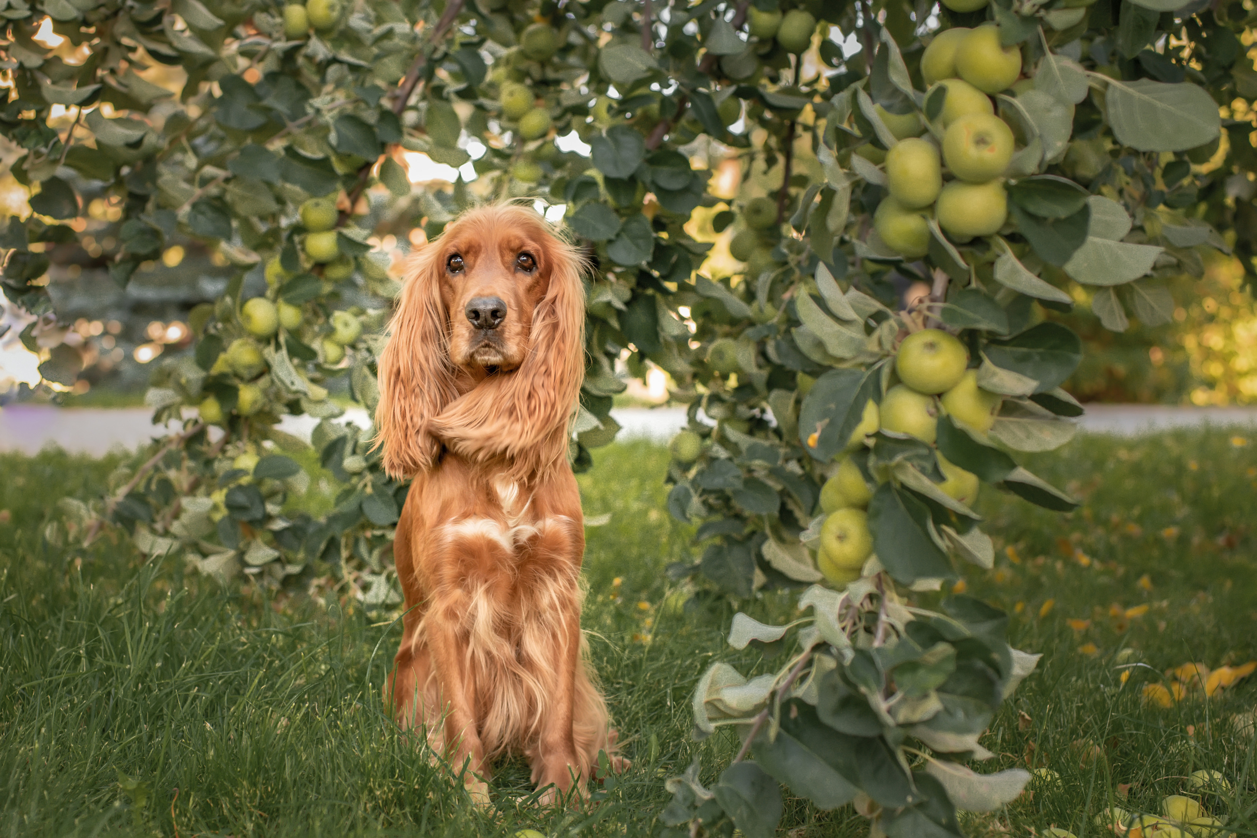 Катя и Марвел. Церковный фотограф на Таинство Крещения и Венчания в Оренбурге и Оренбургской области Екатерина Белкина