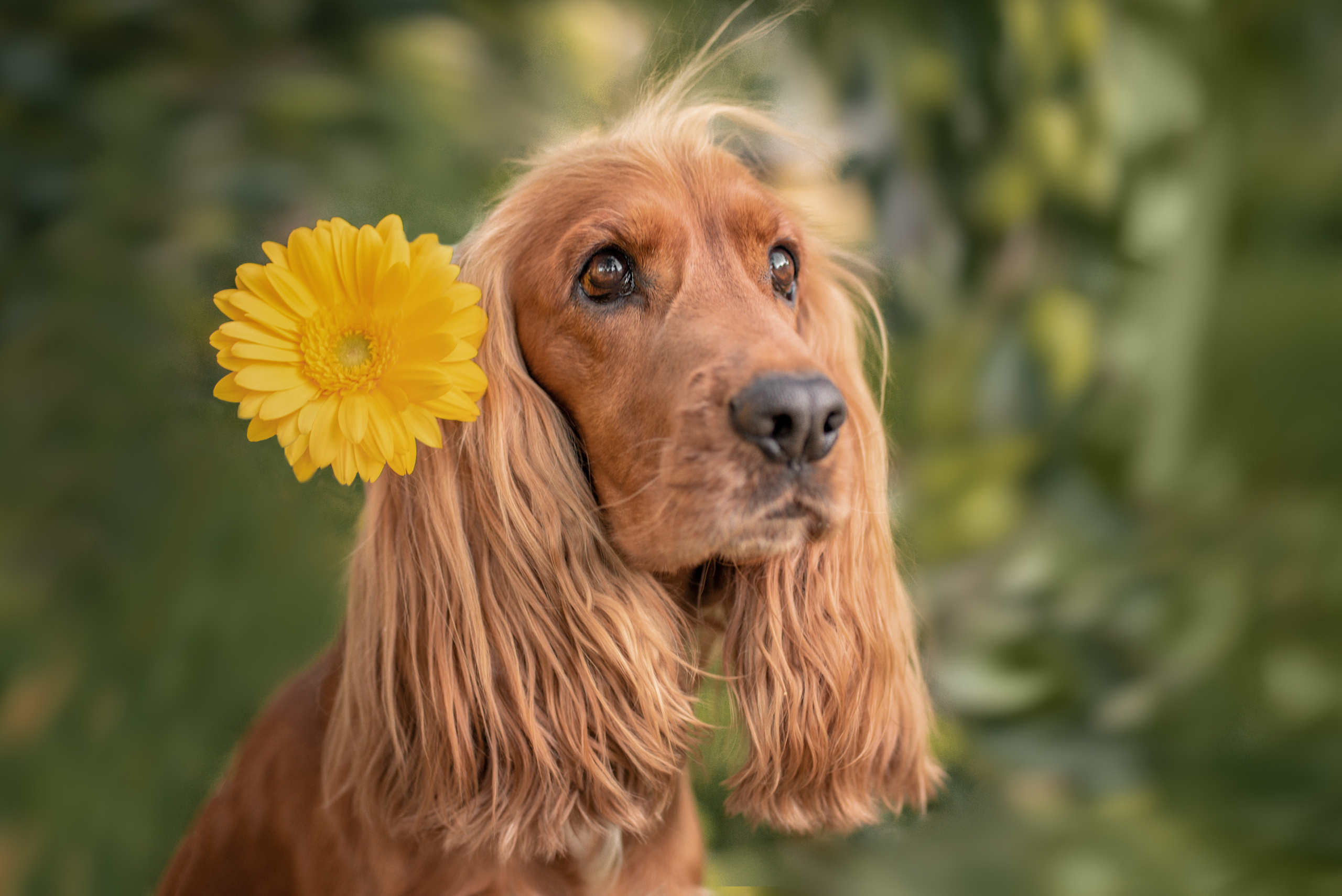 Катя и Марвел. Церковный фотограф на Таинство Крещения и Венчания в Оренбурге и Оренбургской области Екатерина Белкина