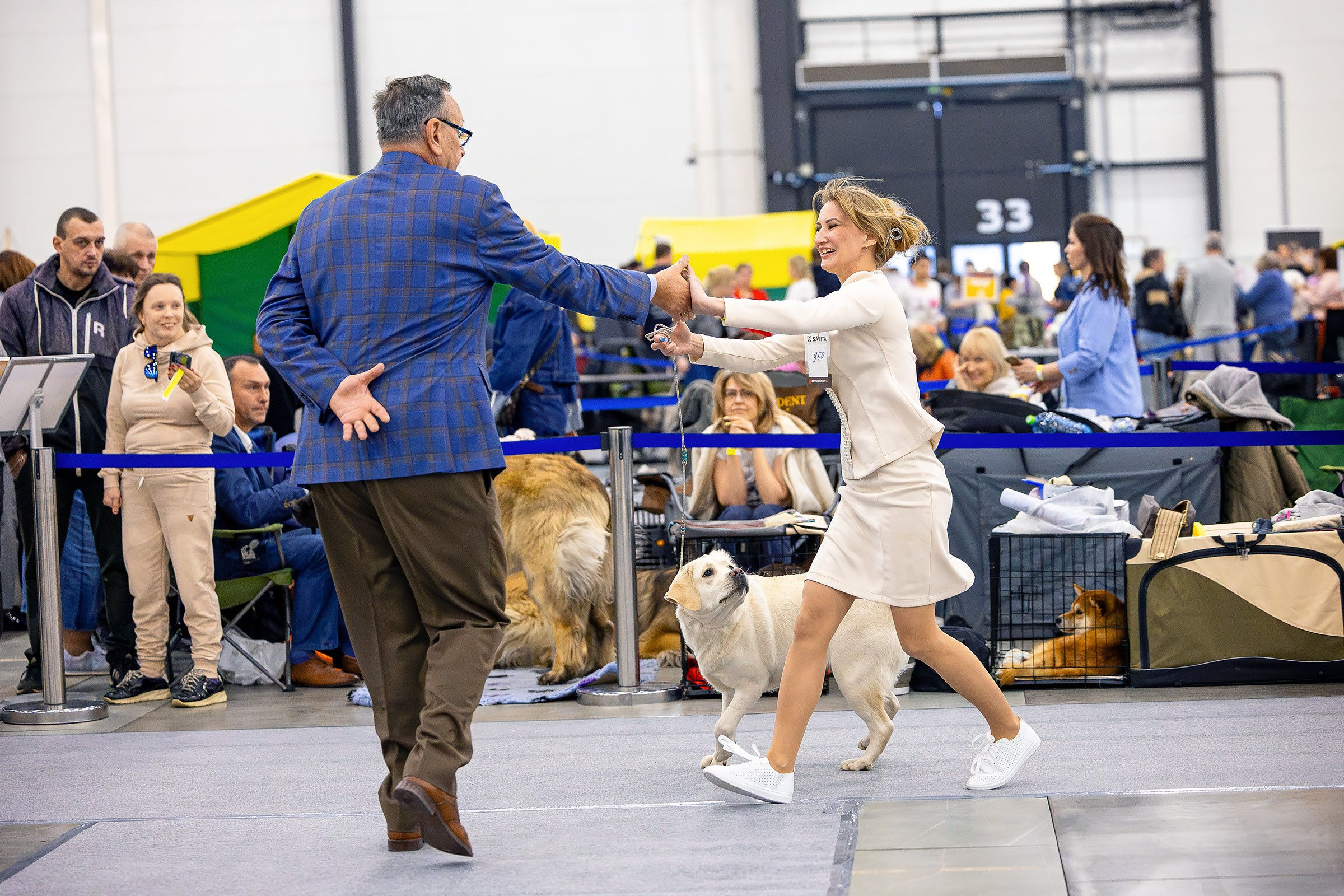 26–27 апреля 2025, Выставка РКФ, г. Санкт-Петербург. Htykk_photo