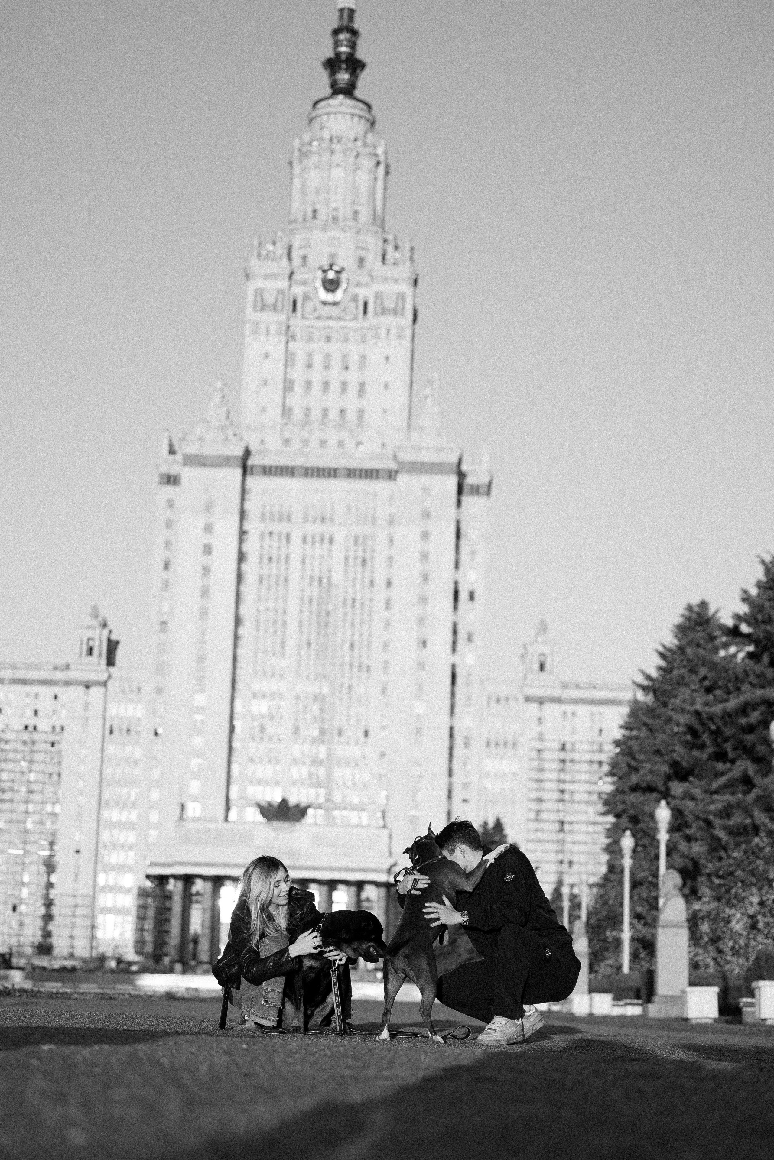 Катя, Леша, Лея и Трой. Фотограф и видеограф анималист Аганина Дарья