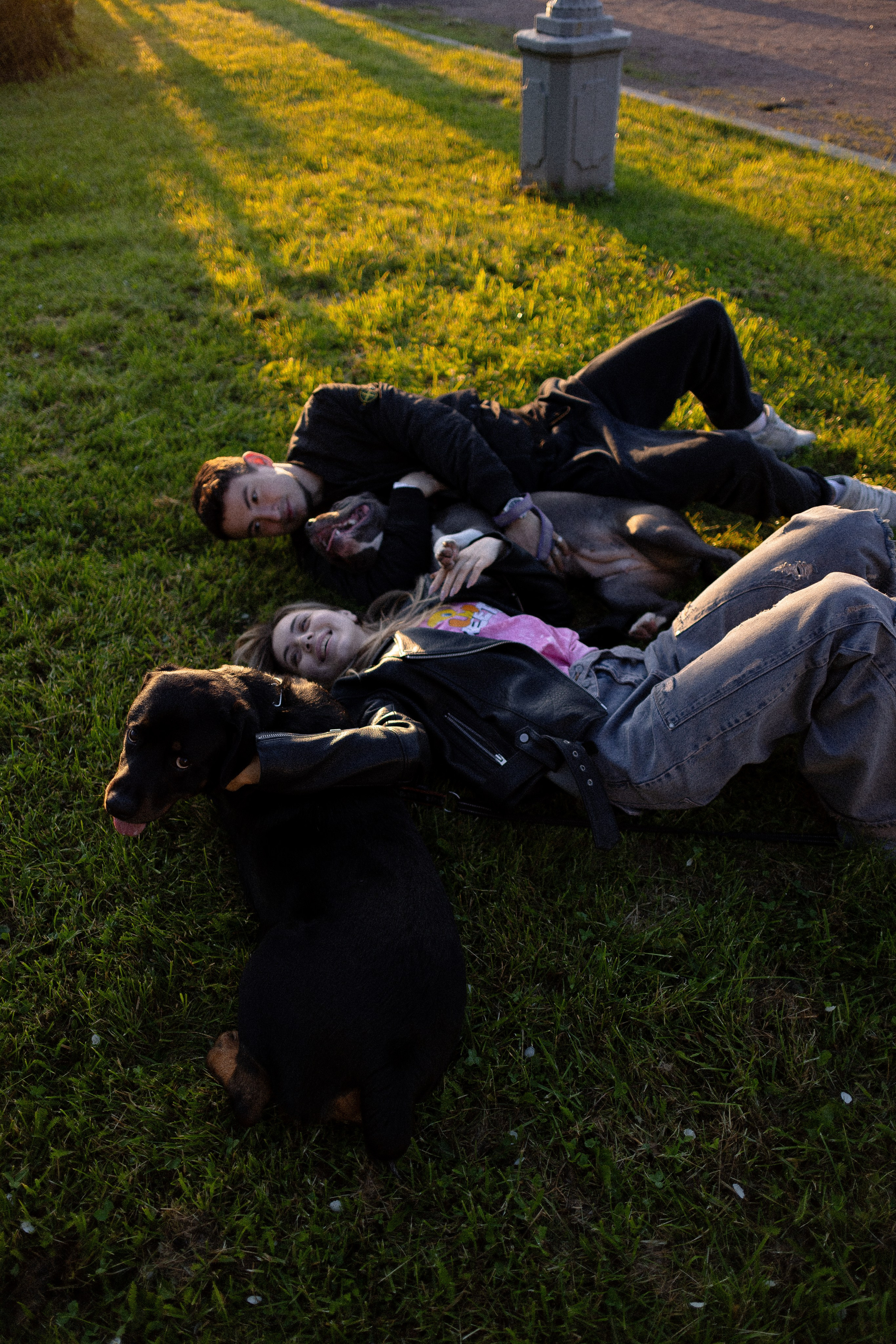 Катя, Леша, Лея и Трой. Фотограф и видеограф анималист Аганина Дарья