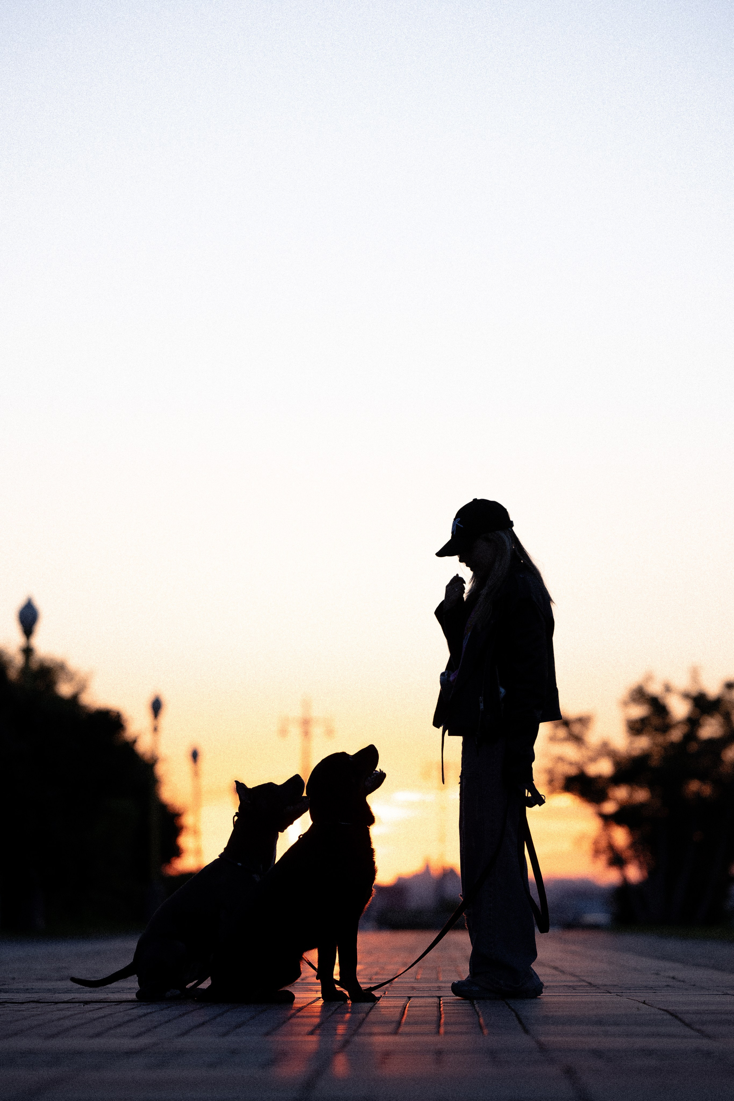 Катя, Леша, Лея и Трой. Фотограф и видеограф анималист Аганина Дарья