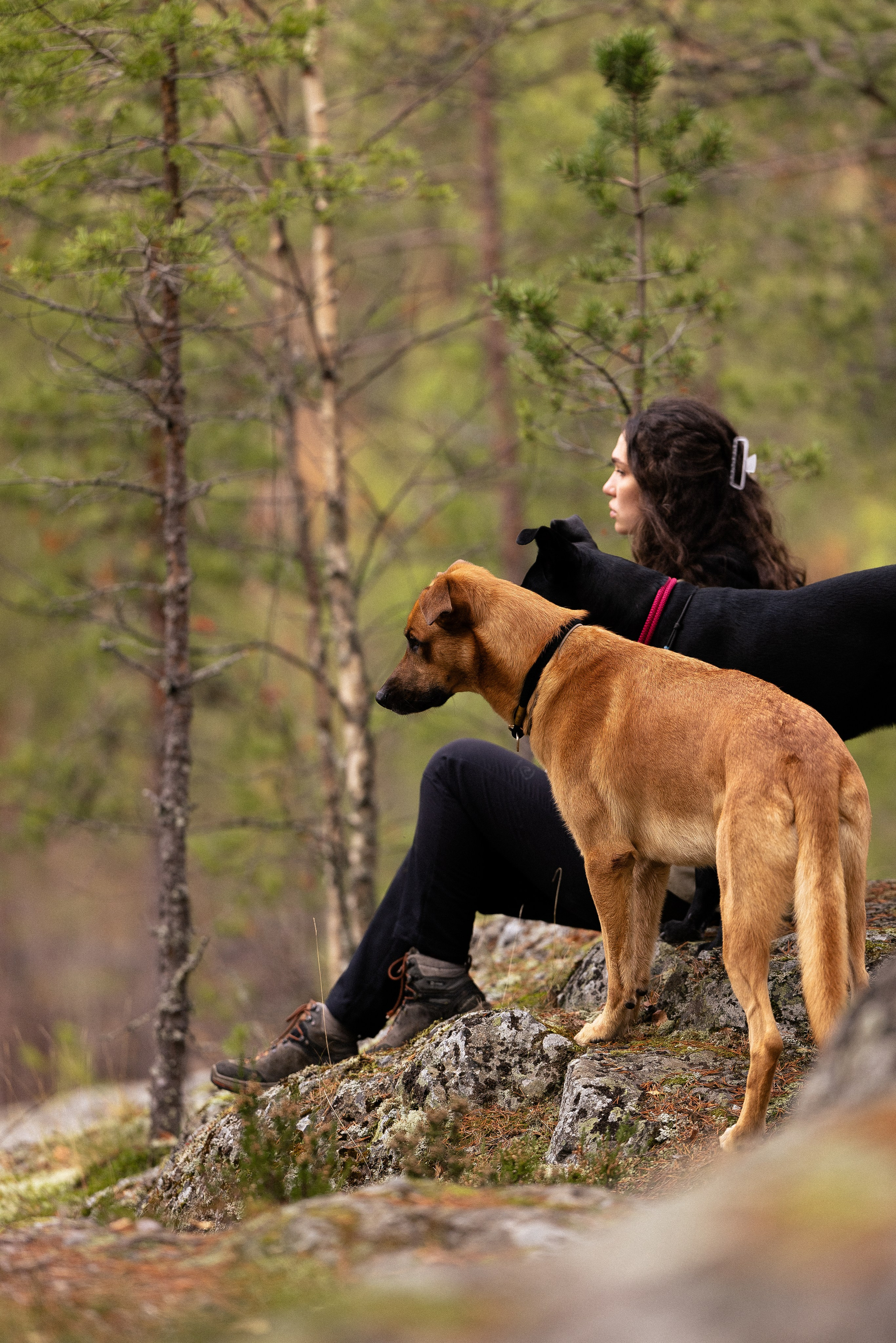 Karelia. Фотограф и видеограф анималист Аганина Дарья