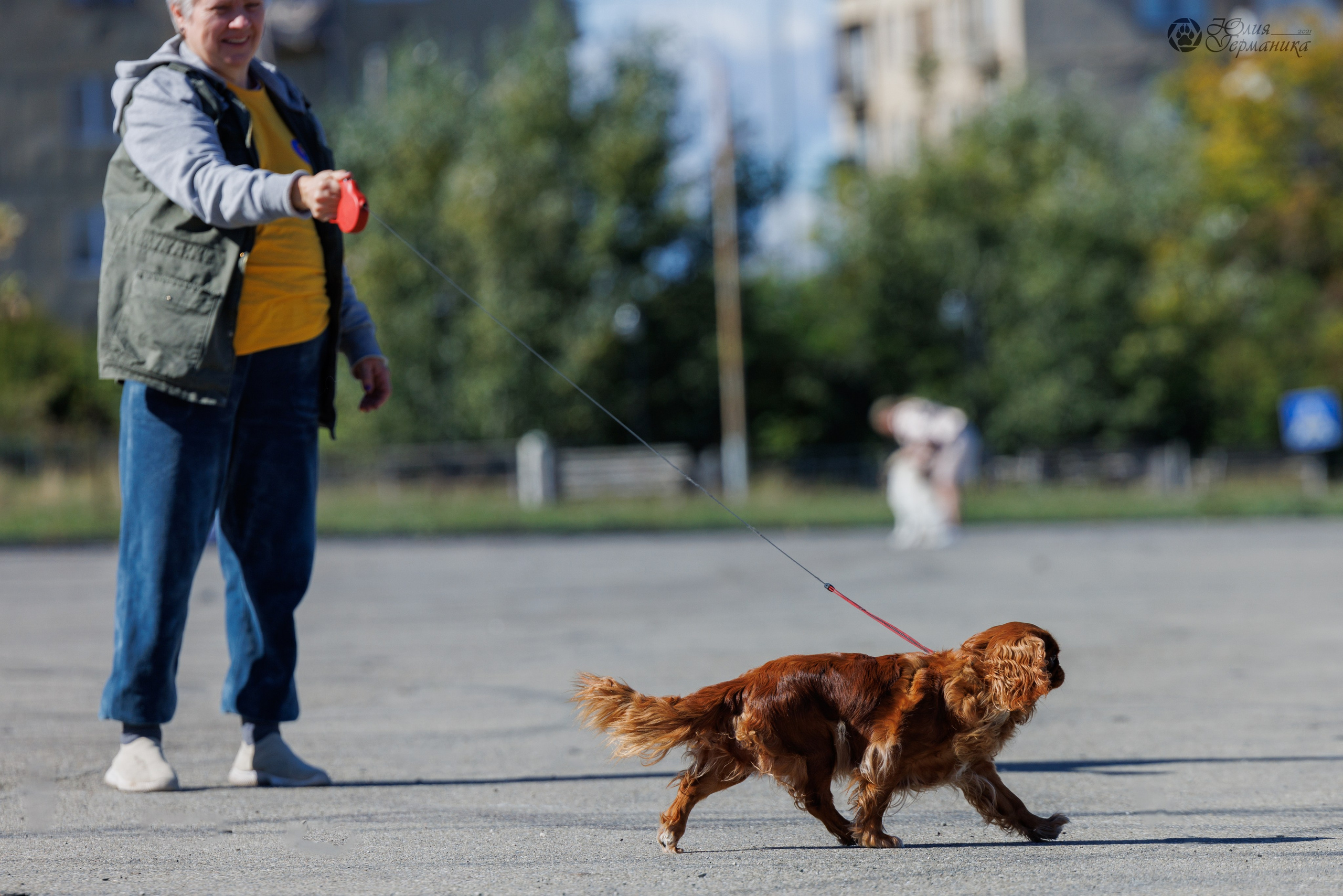 Грузия,Телави 2хCACIB 19-20.10.2024. Фотограф-анималист Юлия Германика