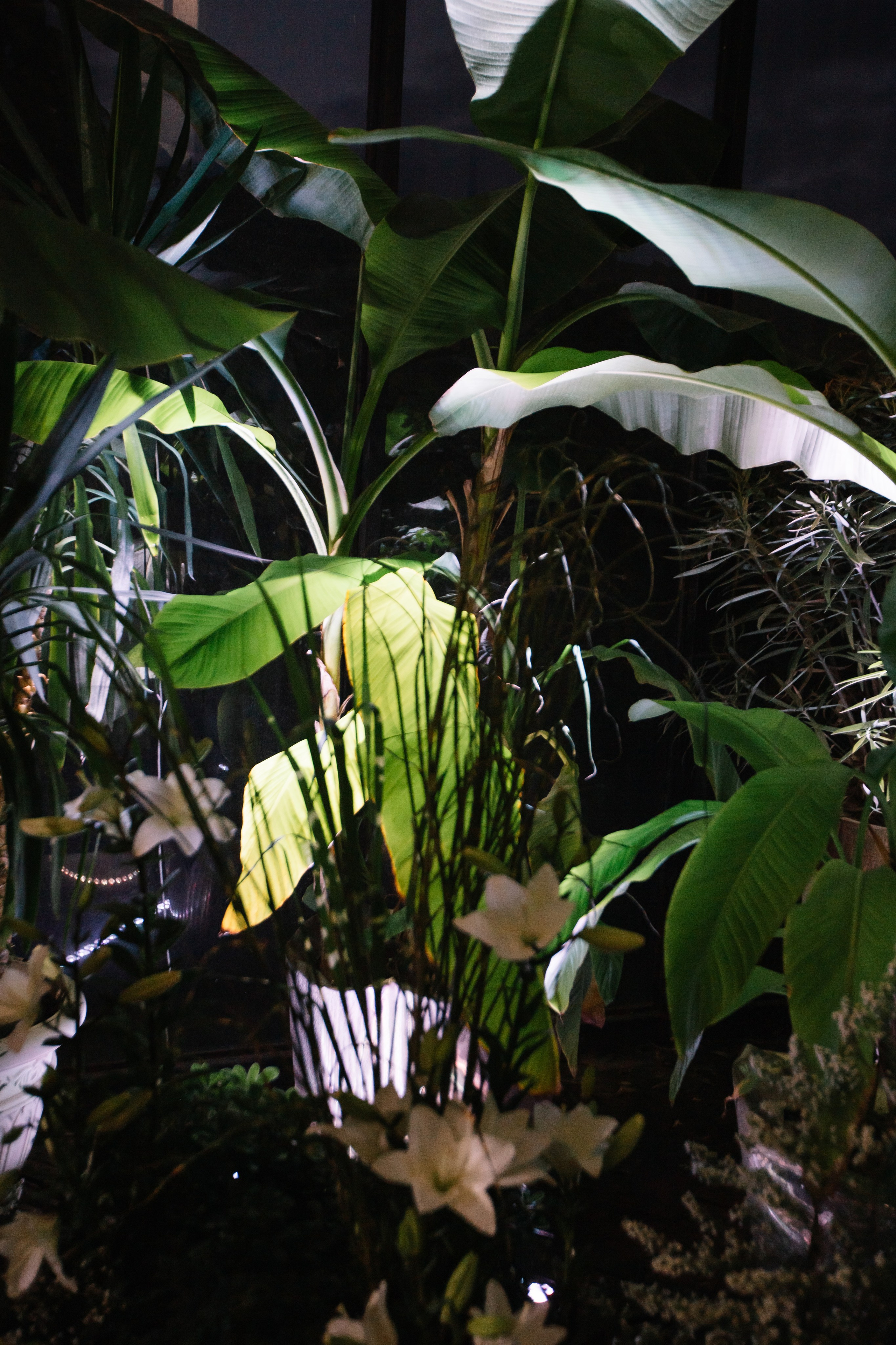 Александр и Екатерина. Свадебный фотограф Анастасия Багдасарян