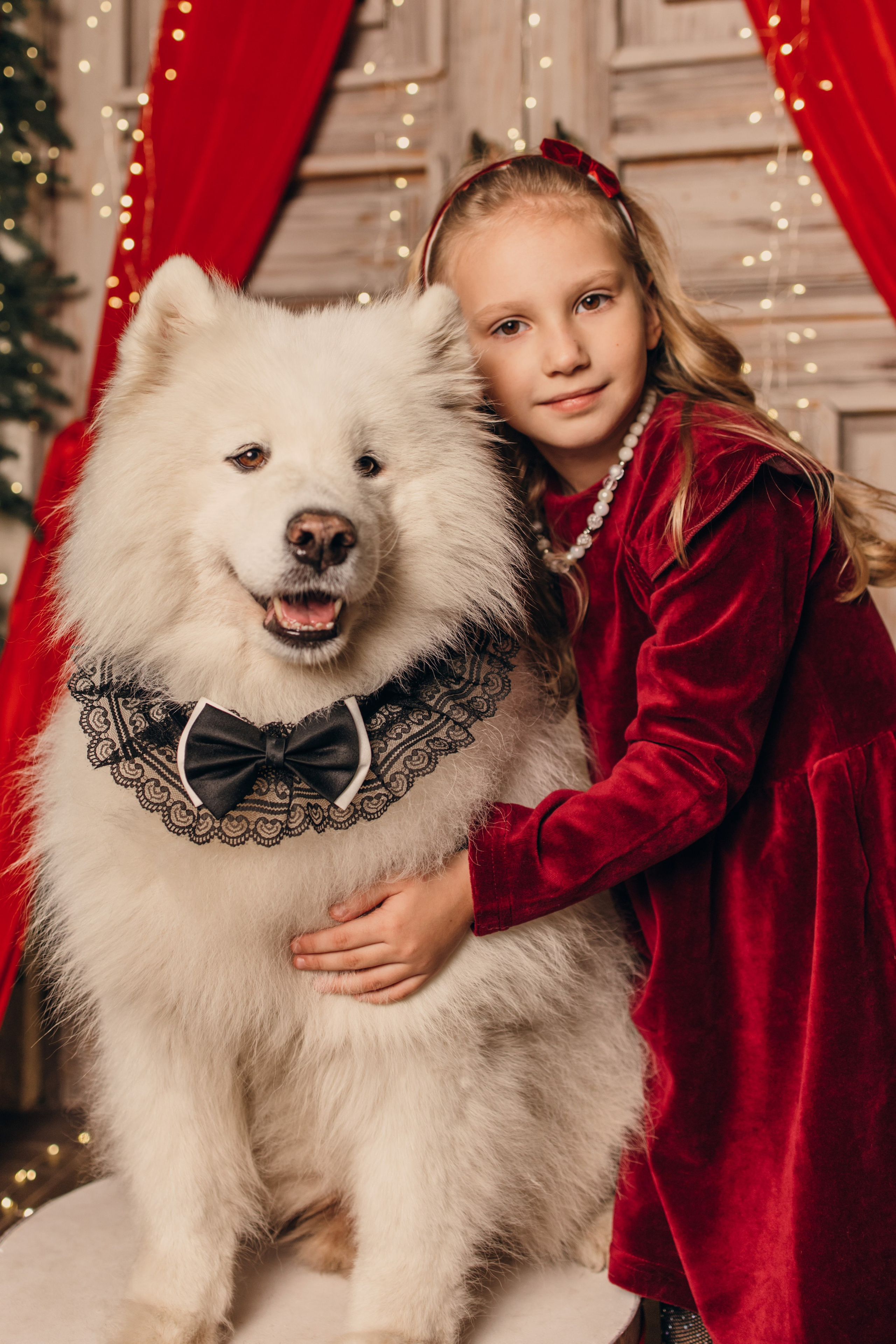 Новогодний самоед. Коновалова Ольга | фотограф в Пензе и Заречном