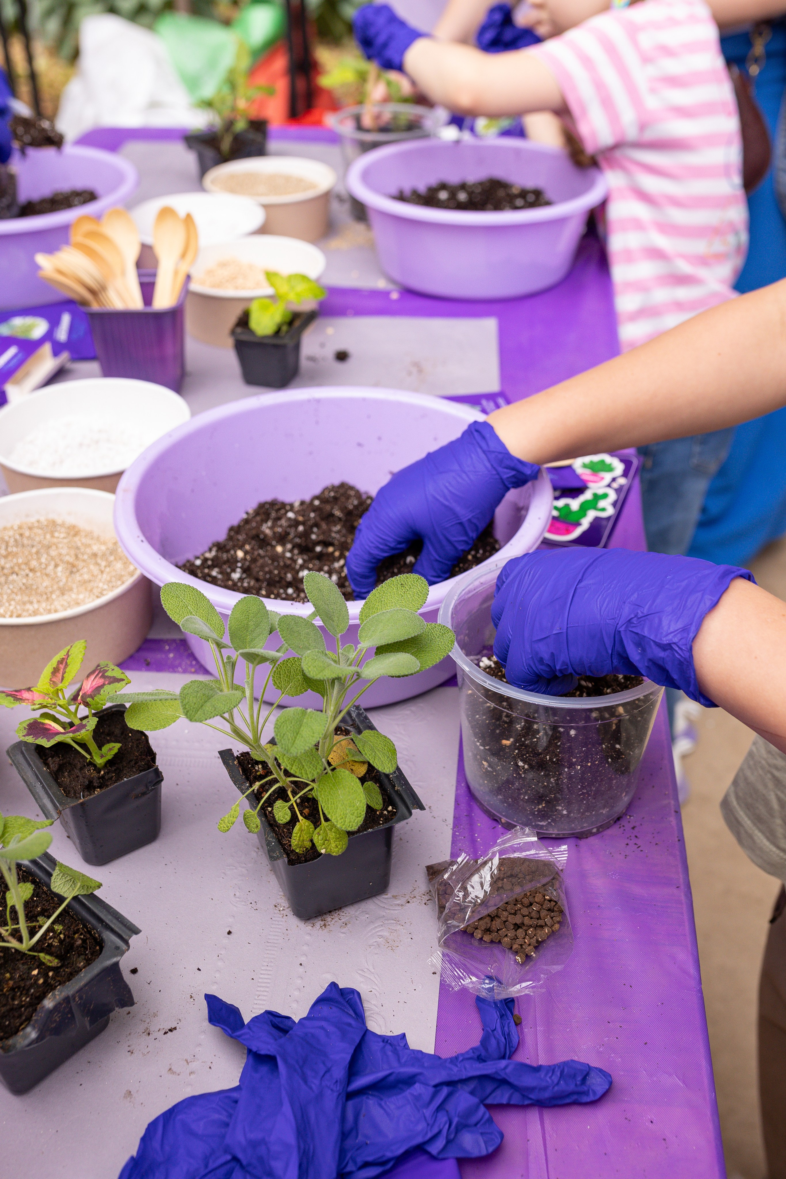 Мастер-класс от Аминосил. Александра Куликова фотограф, Москва