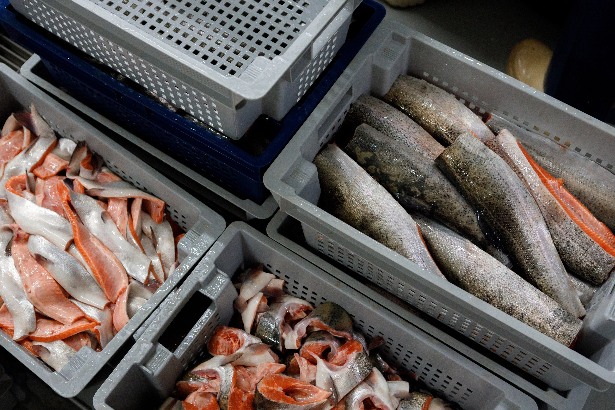 Kala-Ranta Trout Farm. Commercial photographer | Anton Ermakov