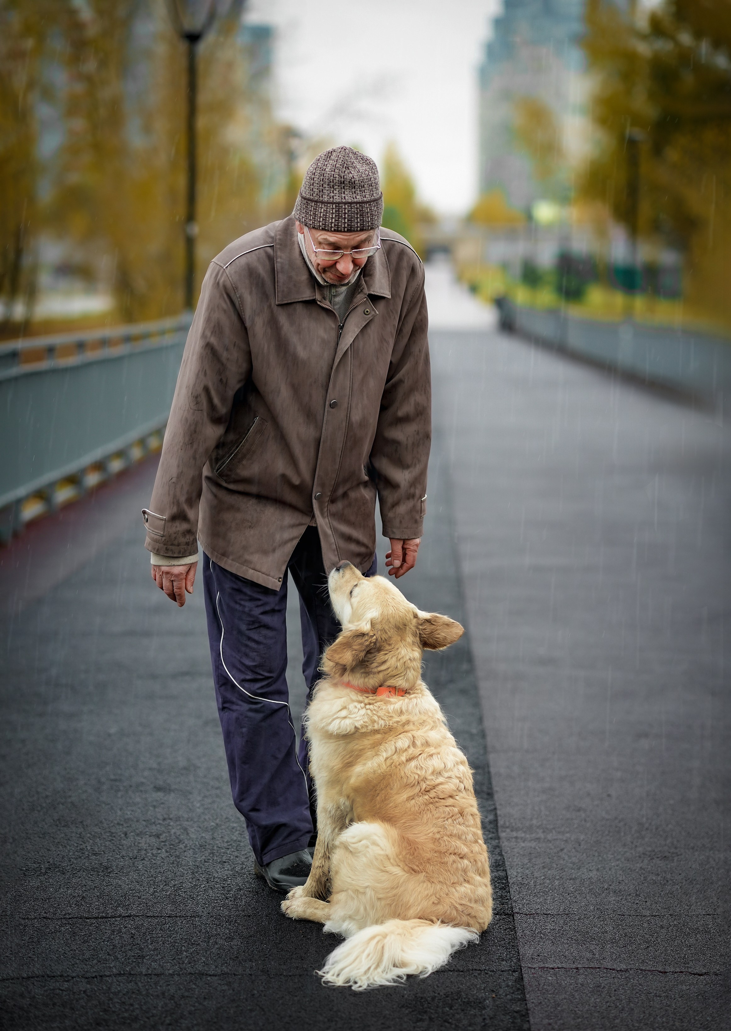 ПЕС. Фотограф Нижний Новгород Татьяна Кэйод