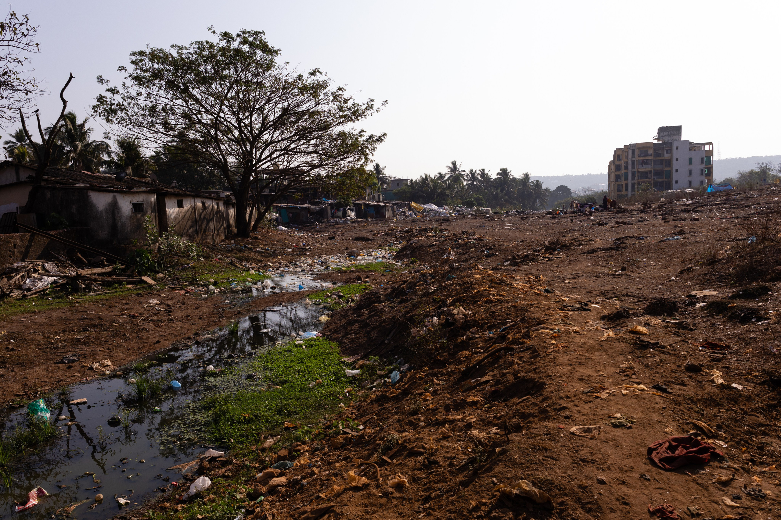 ГОА 2024. Руслан Плахтеев