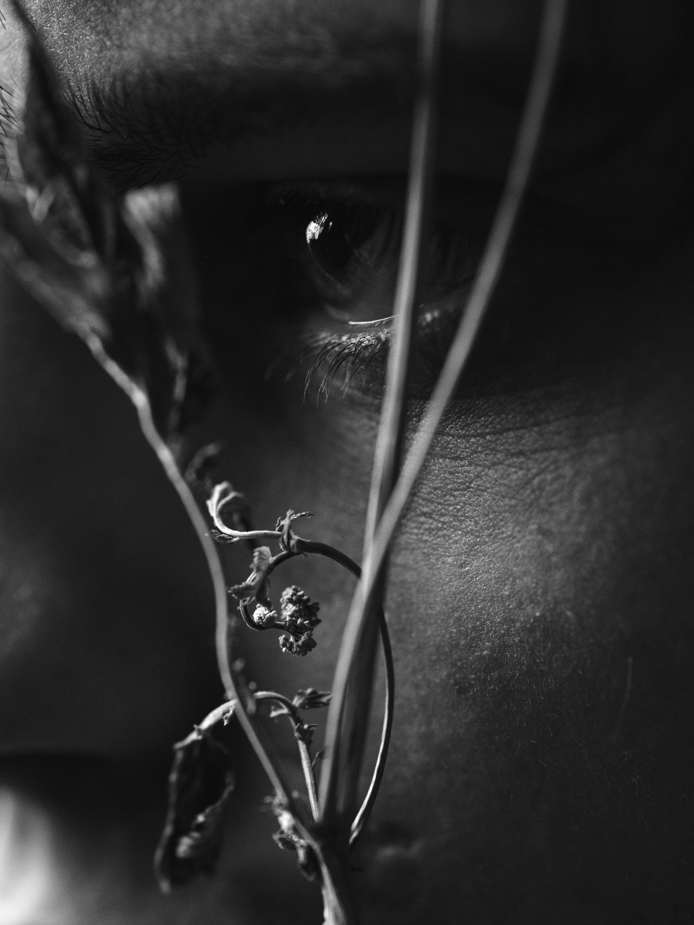 Александр. Branch. Фотограф Юлия Глазкова