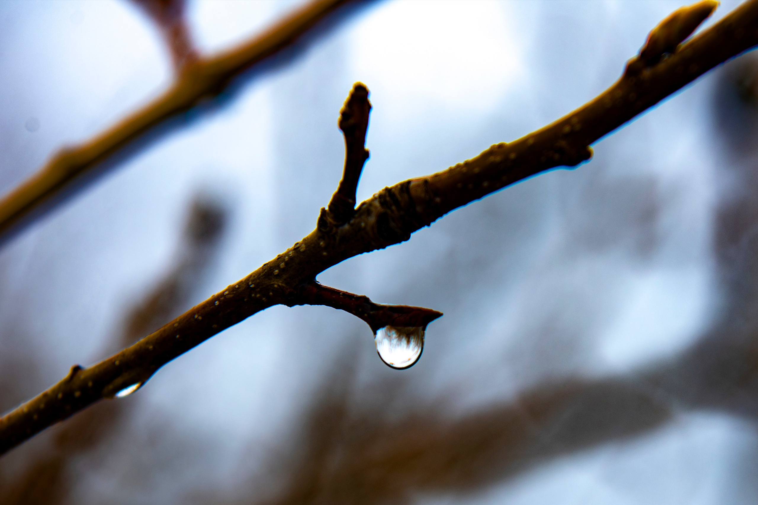 Природа. Команда фотографов Кристины Ивановой