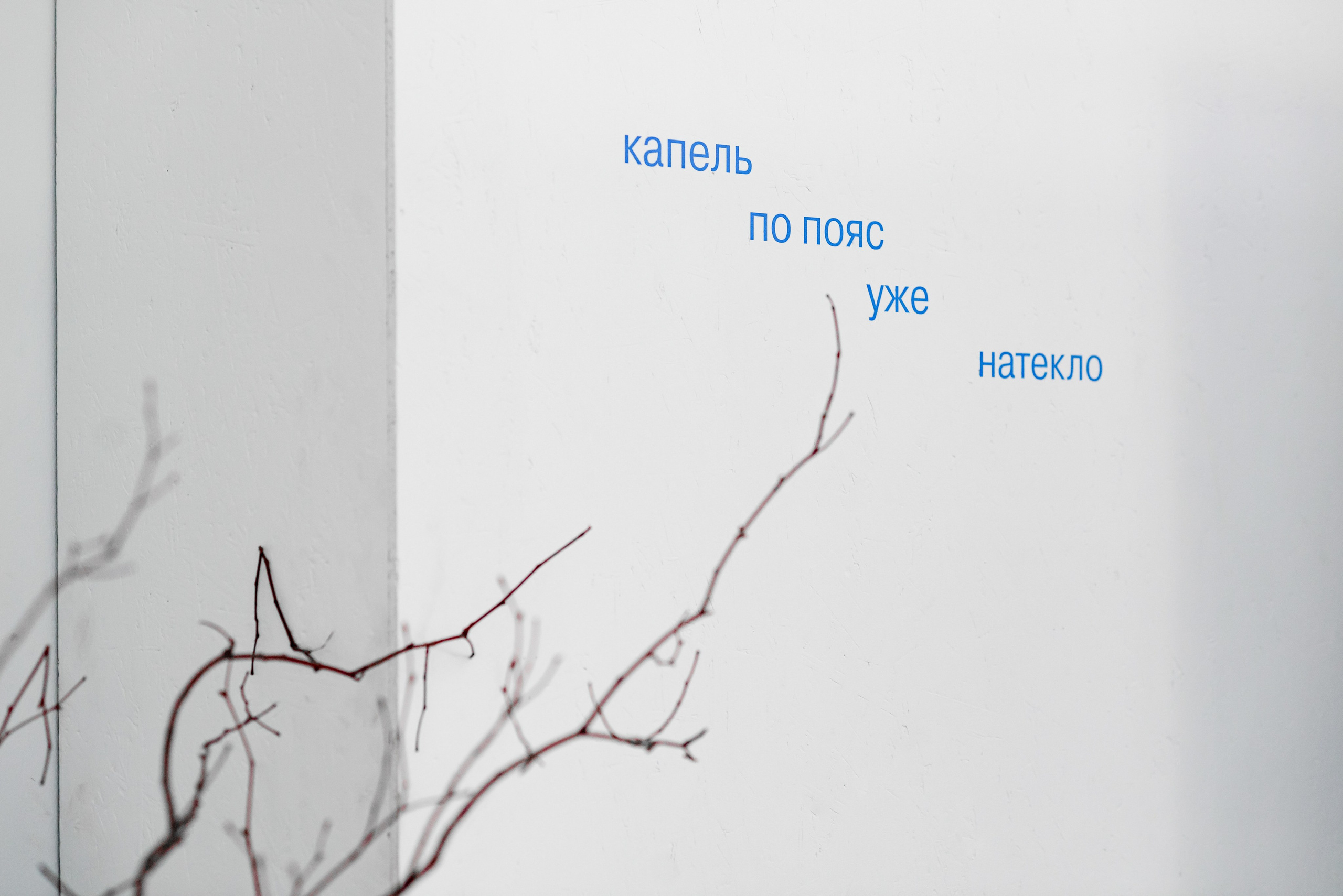 Выставки. Фотограф Руслан Хафизов