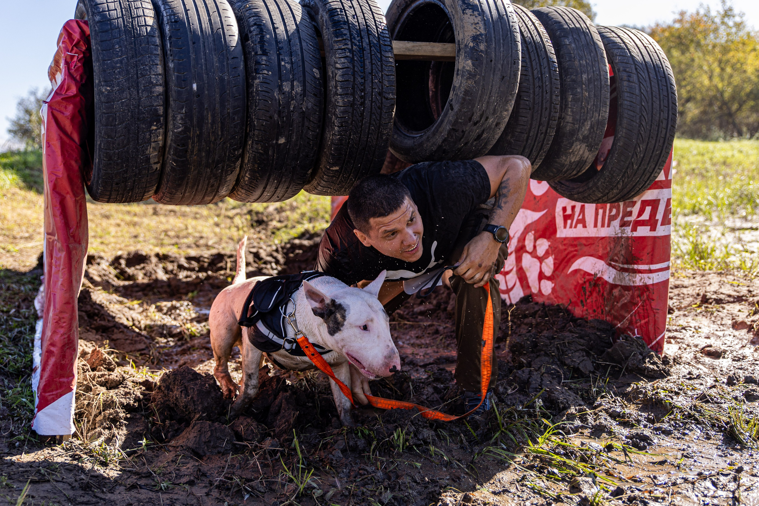 Dogtrail 2023. Уссурийск