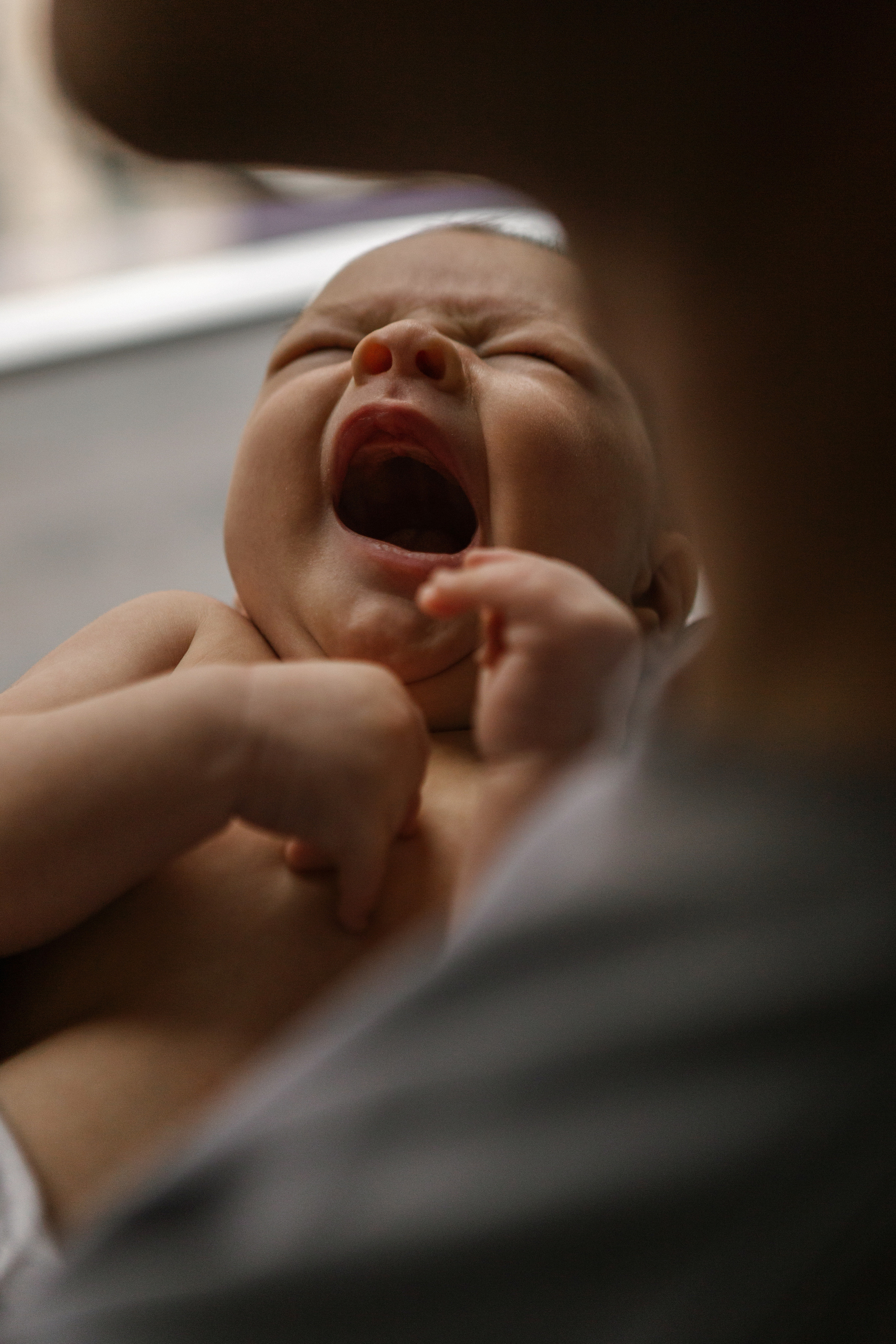 Соня, Коля и Илья. Семейный фотограф в Краснодаре Виктория Кокоулина