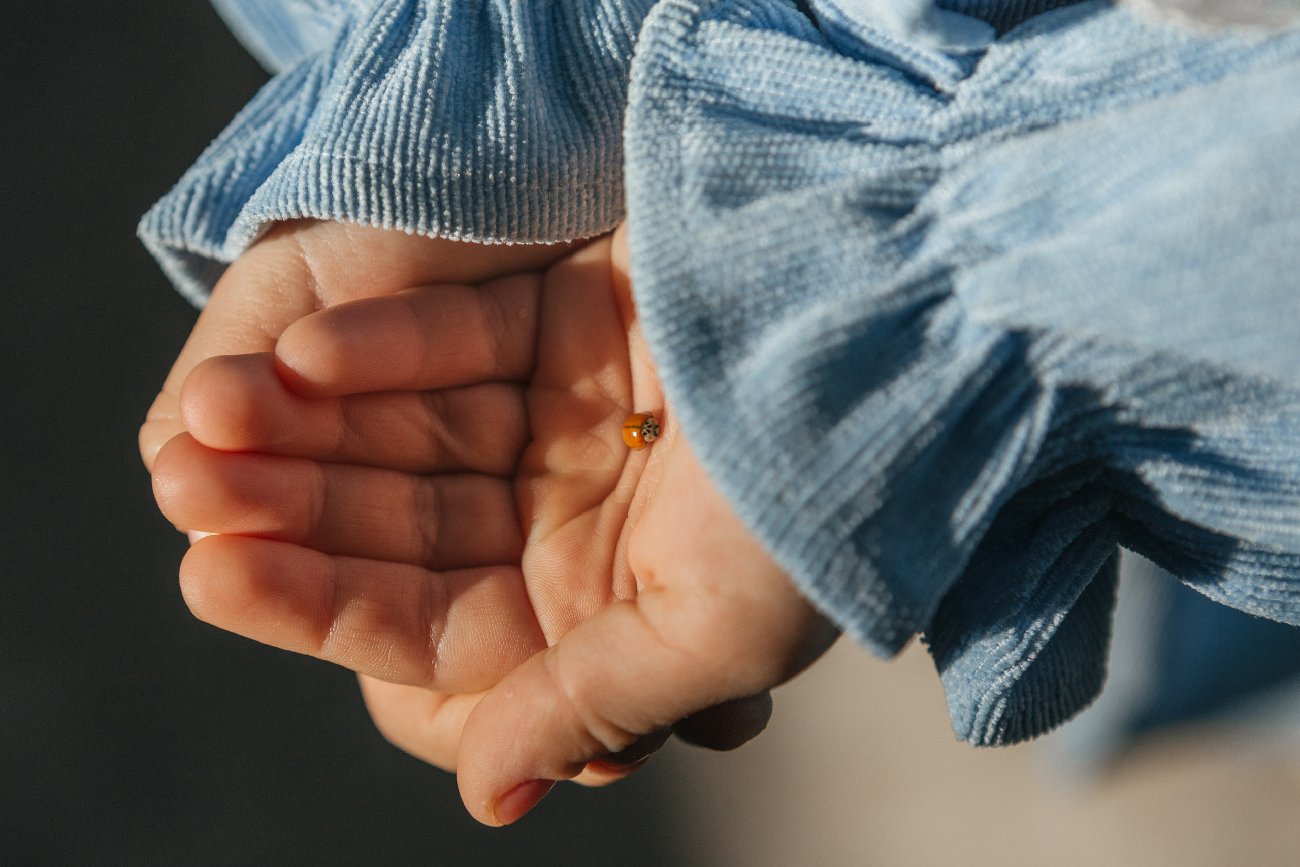 Крещение Тимура. Семейный фотограф в Краснодаре Виктория Кокоулина
