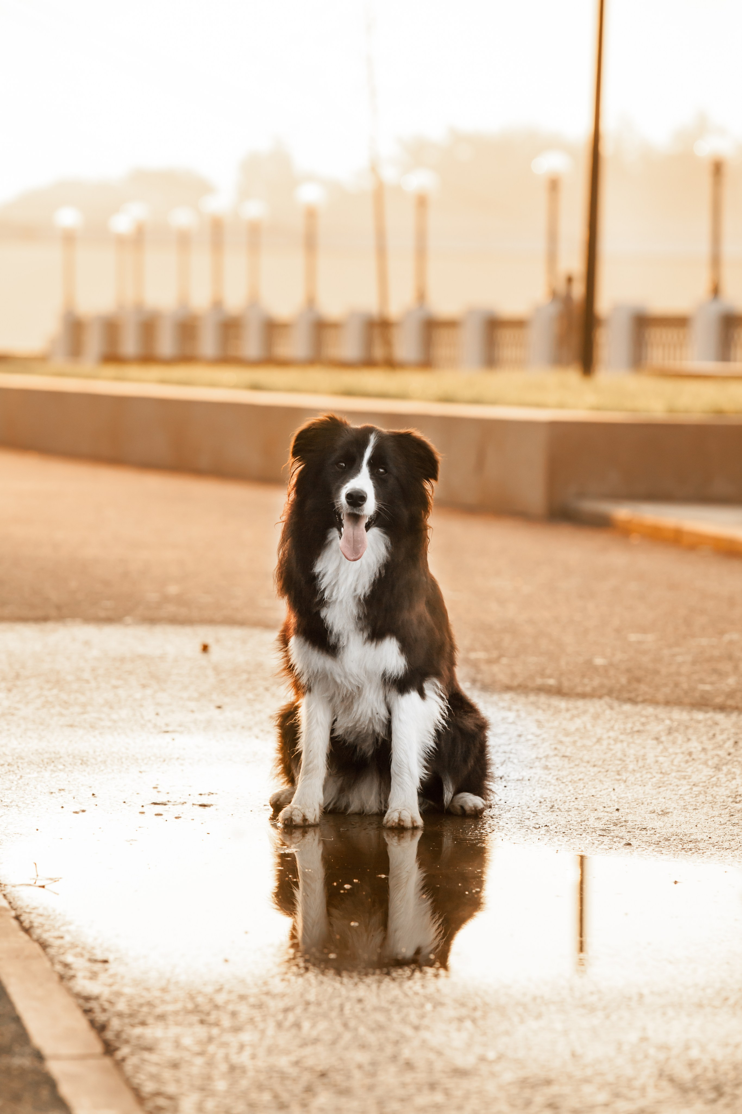 Сочный рассвет, на который решились. О нас